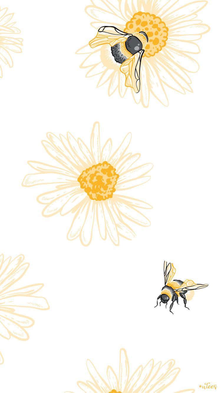 White background wallpaper with yellow daisies and bees. - Bee