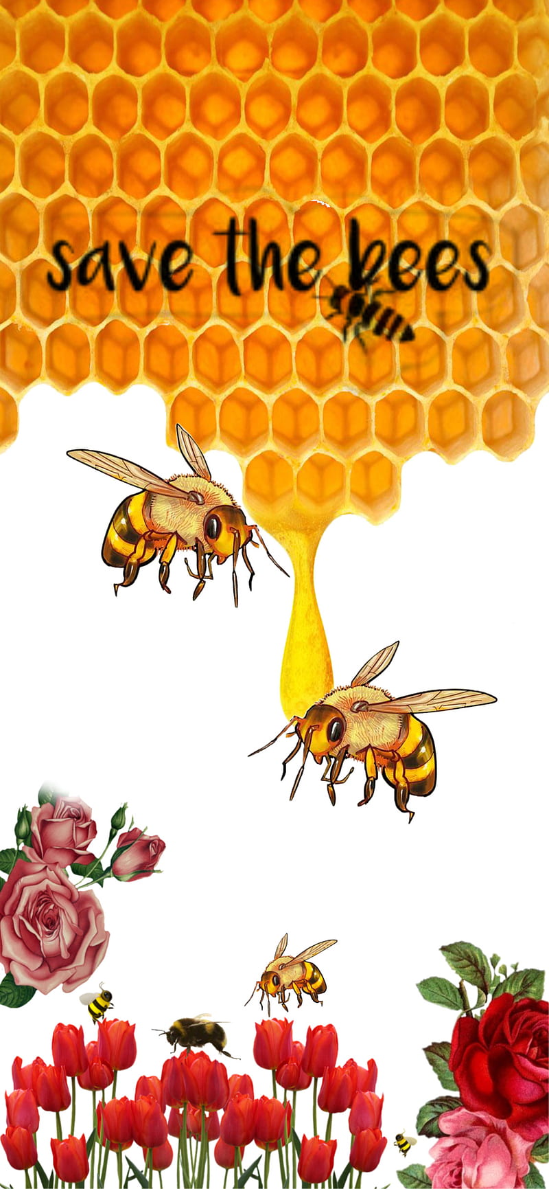 HD honey bee wallpaper