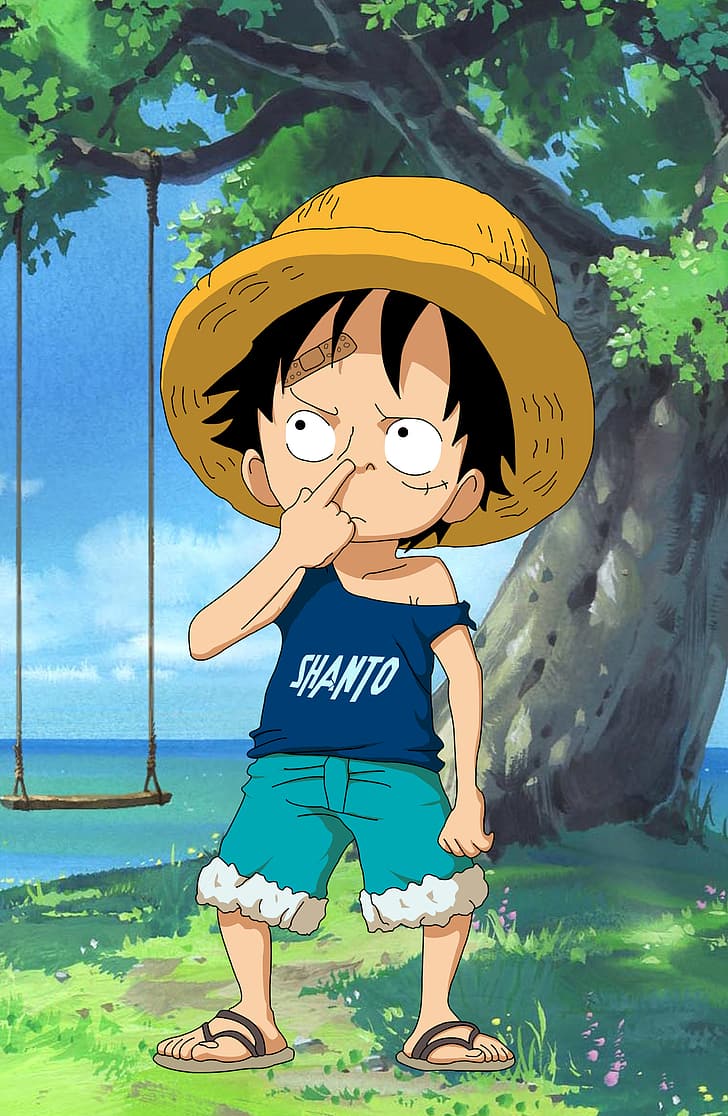 Monkey D. Luffy, the main protagonist of the One Piece series, is a young man with straw hat and blue vest. - One Piece