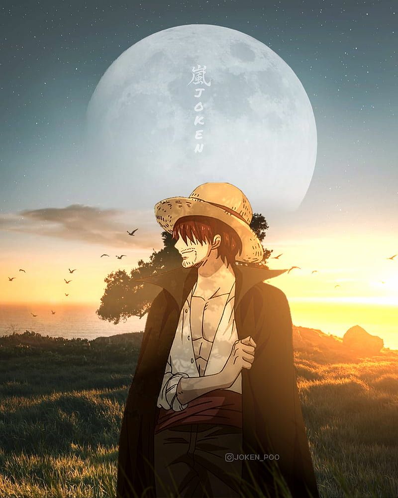 An anime character stands in a field with a full moon behind them - One Piece