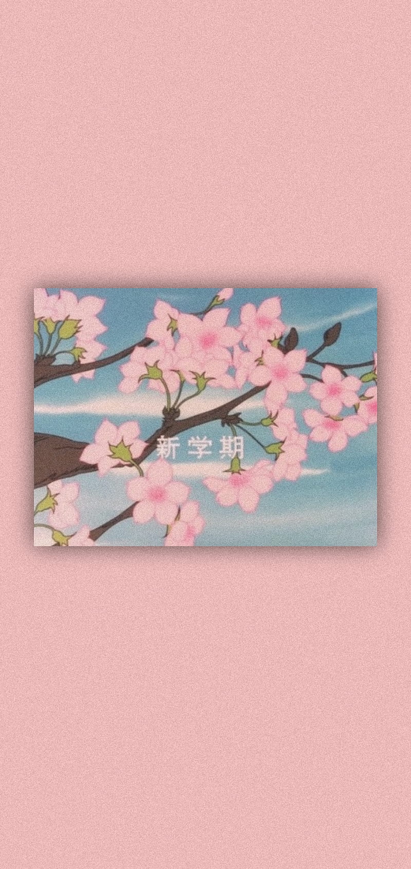 A painting of cherry blossoms on the wall - Pink anime