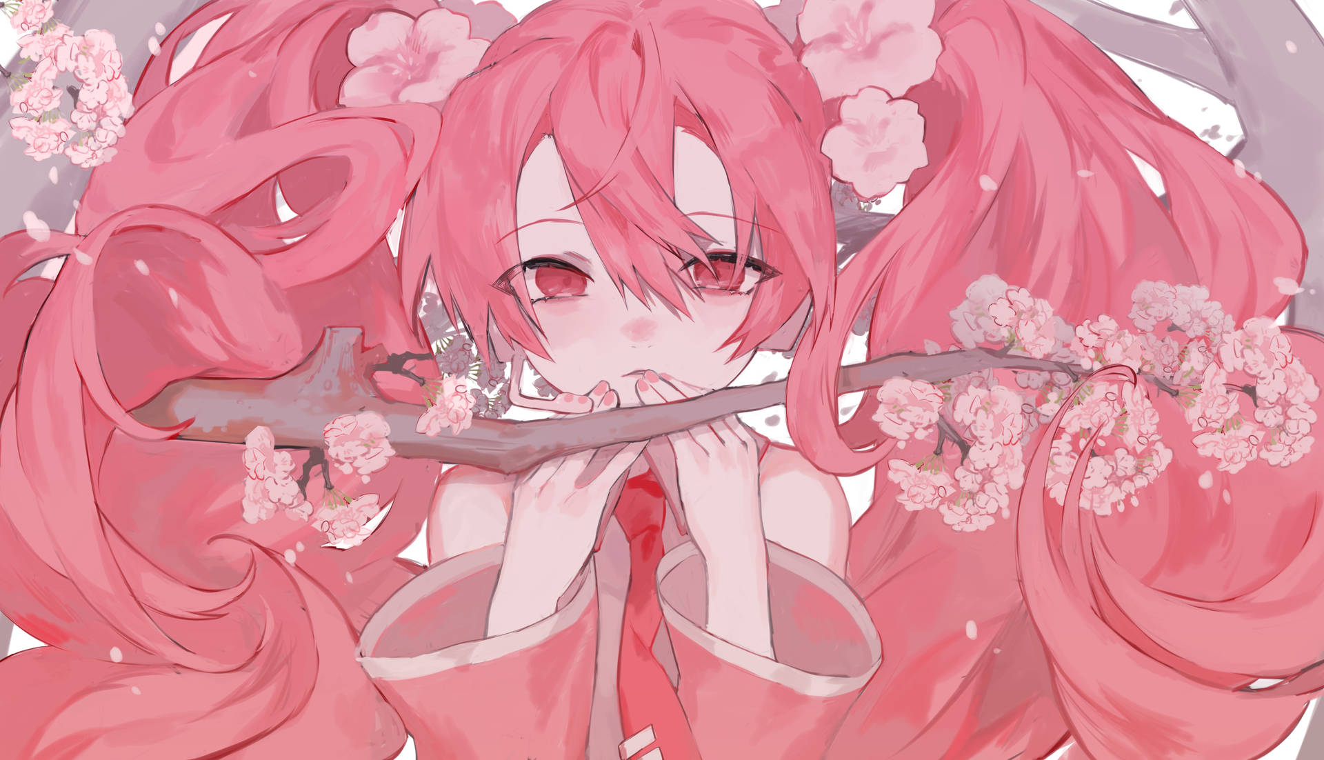 A girl with pink hair holding a cherry branch. - Pink anime