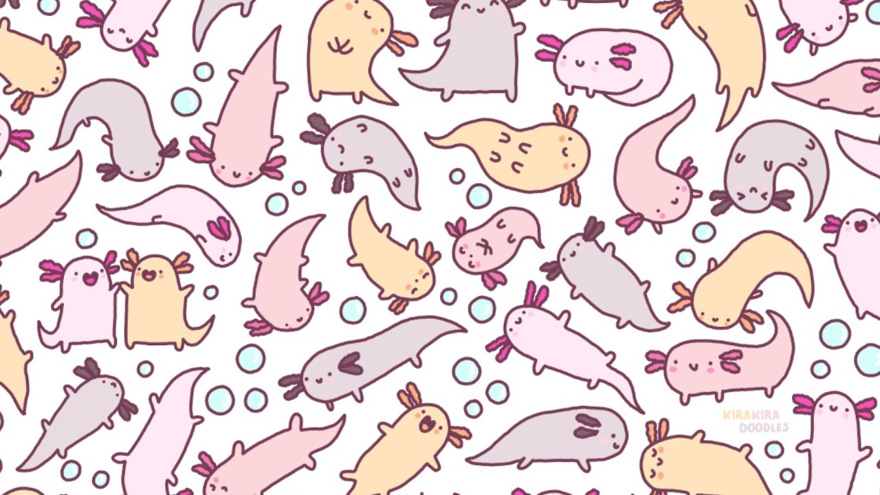 axolotls are bae on Tumblr