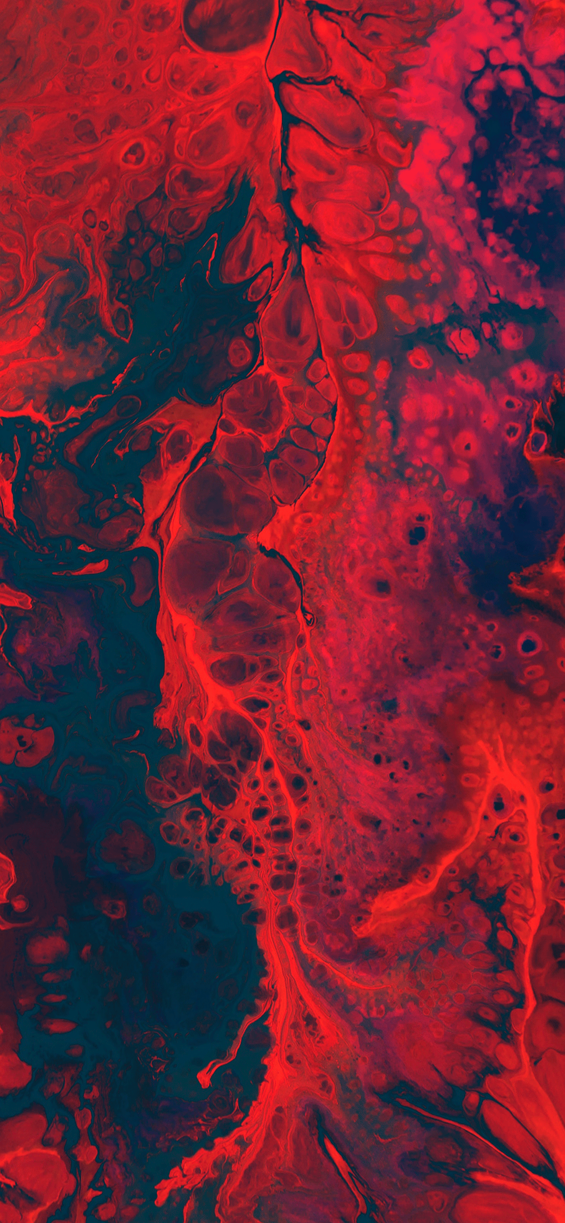 A painting of red and blue paint - Abstract