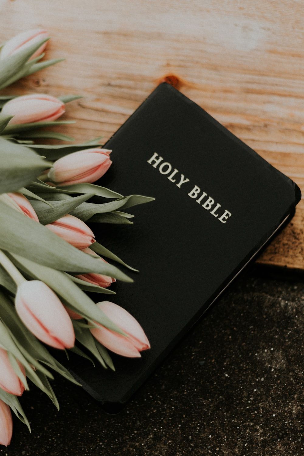 Holy Bible under pink tulips photo