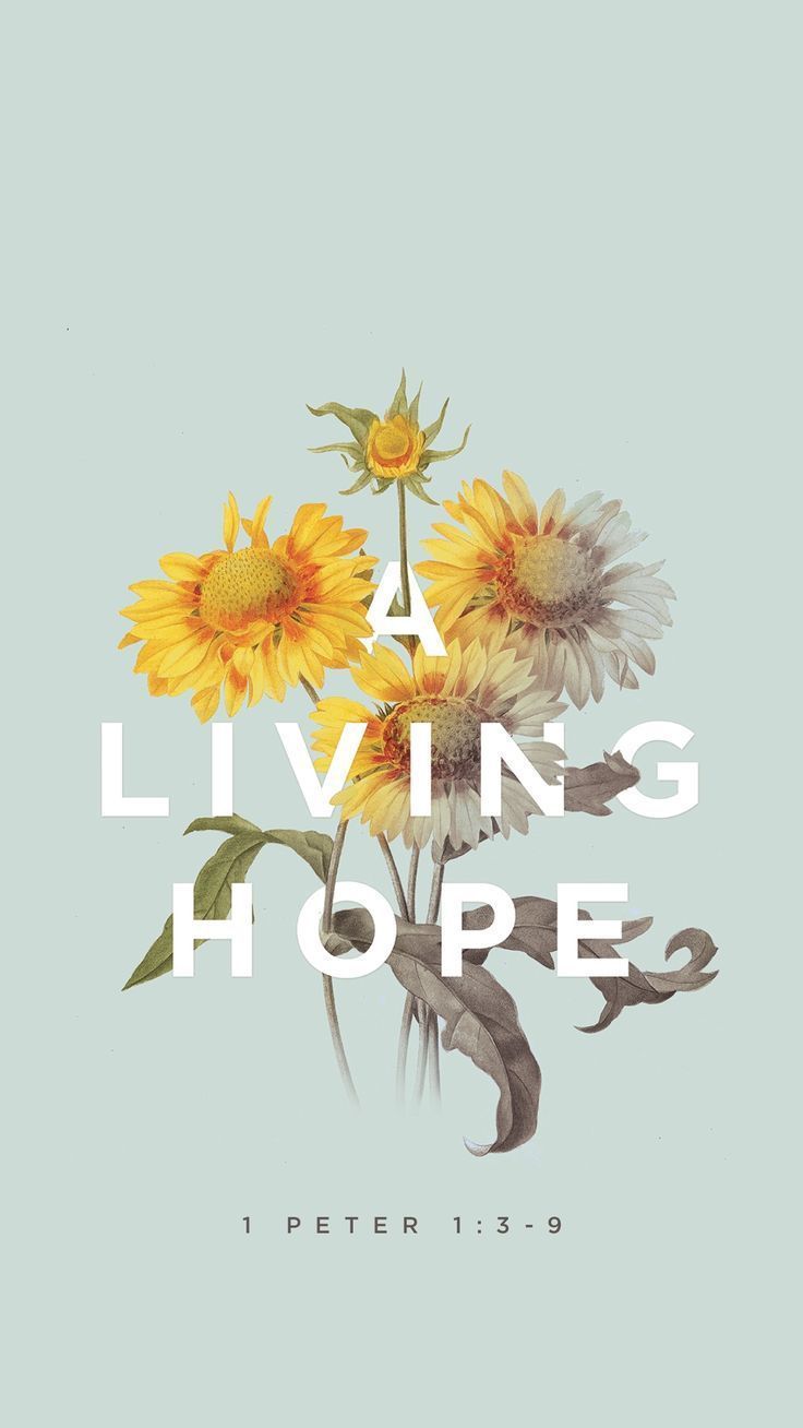 A living hope 1 peter - Bible