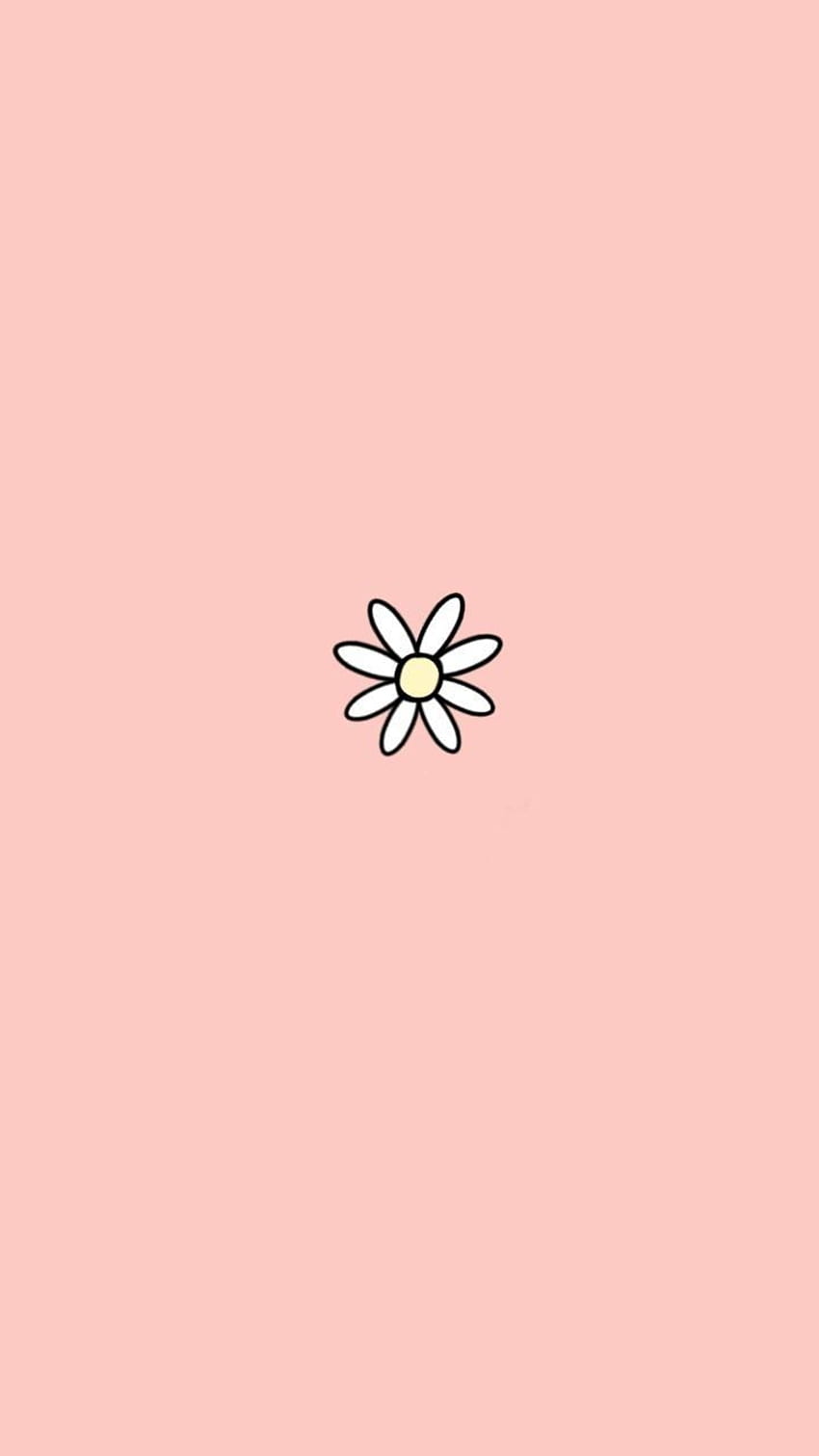 IPhone wallpaper with a white daisy on a pink background - Cute