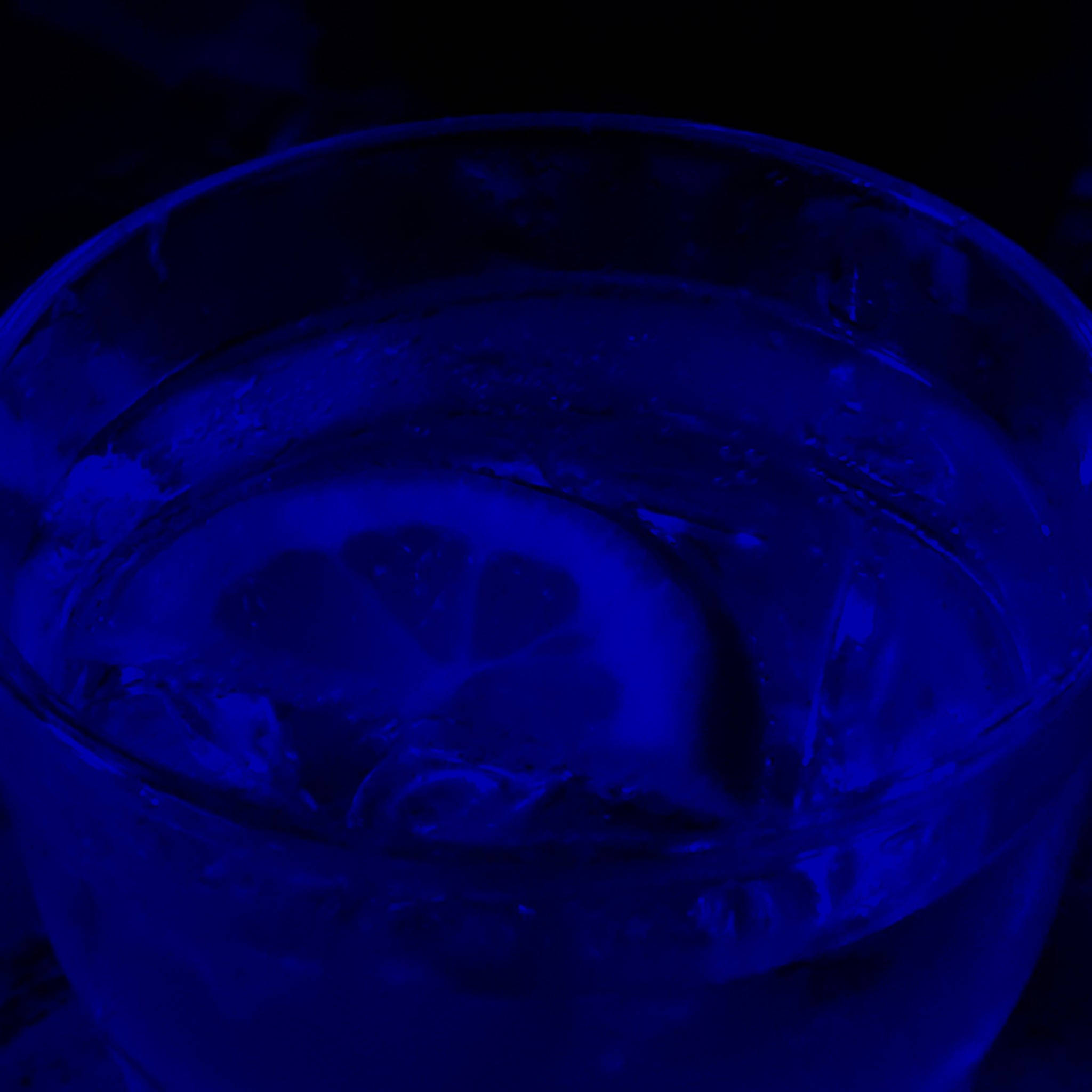 A glass of water with lemon slices in it - Dark blue