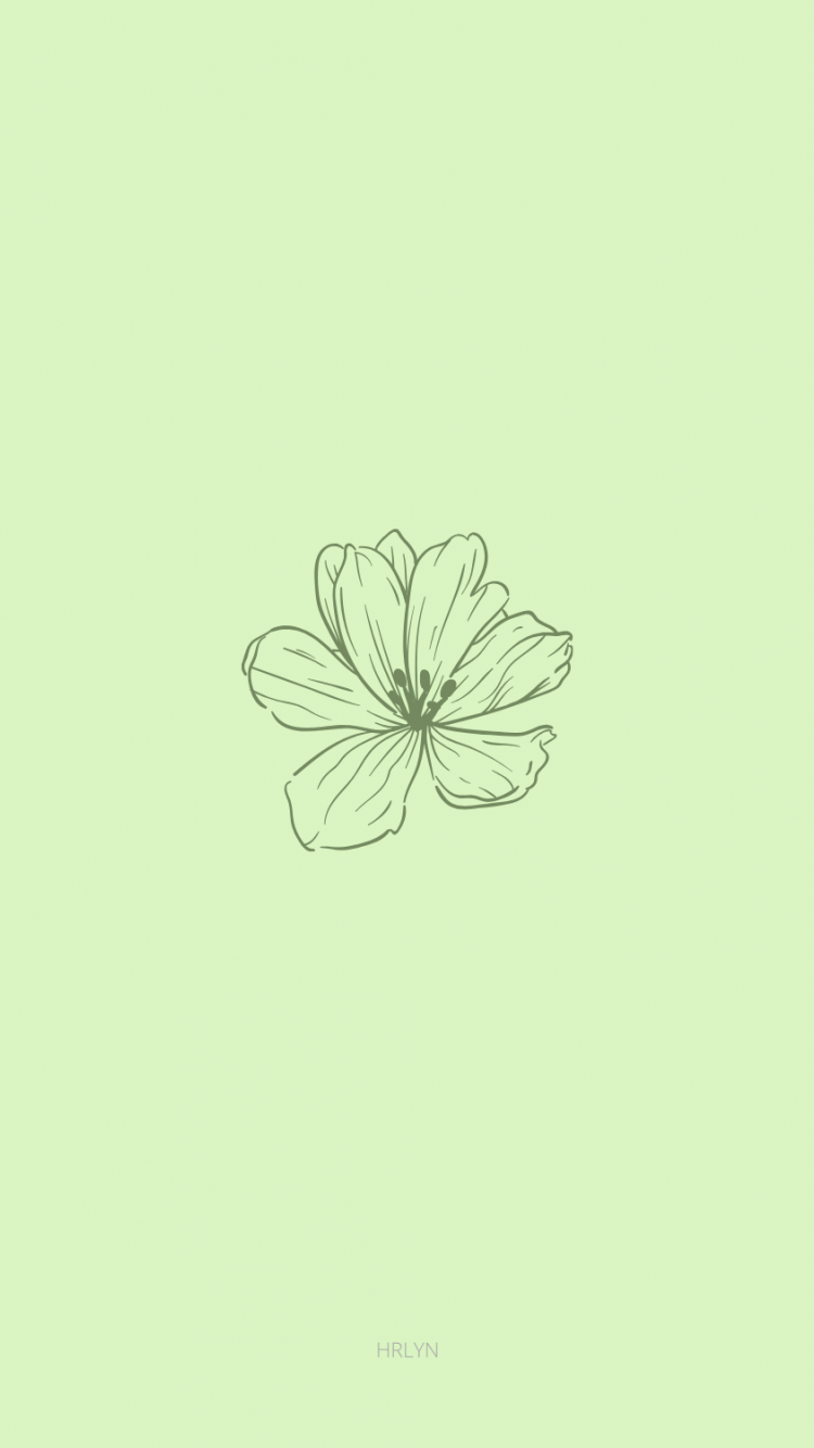 A flower is drawn on the wall - Sage green