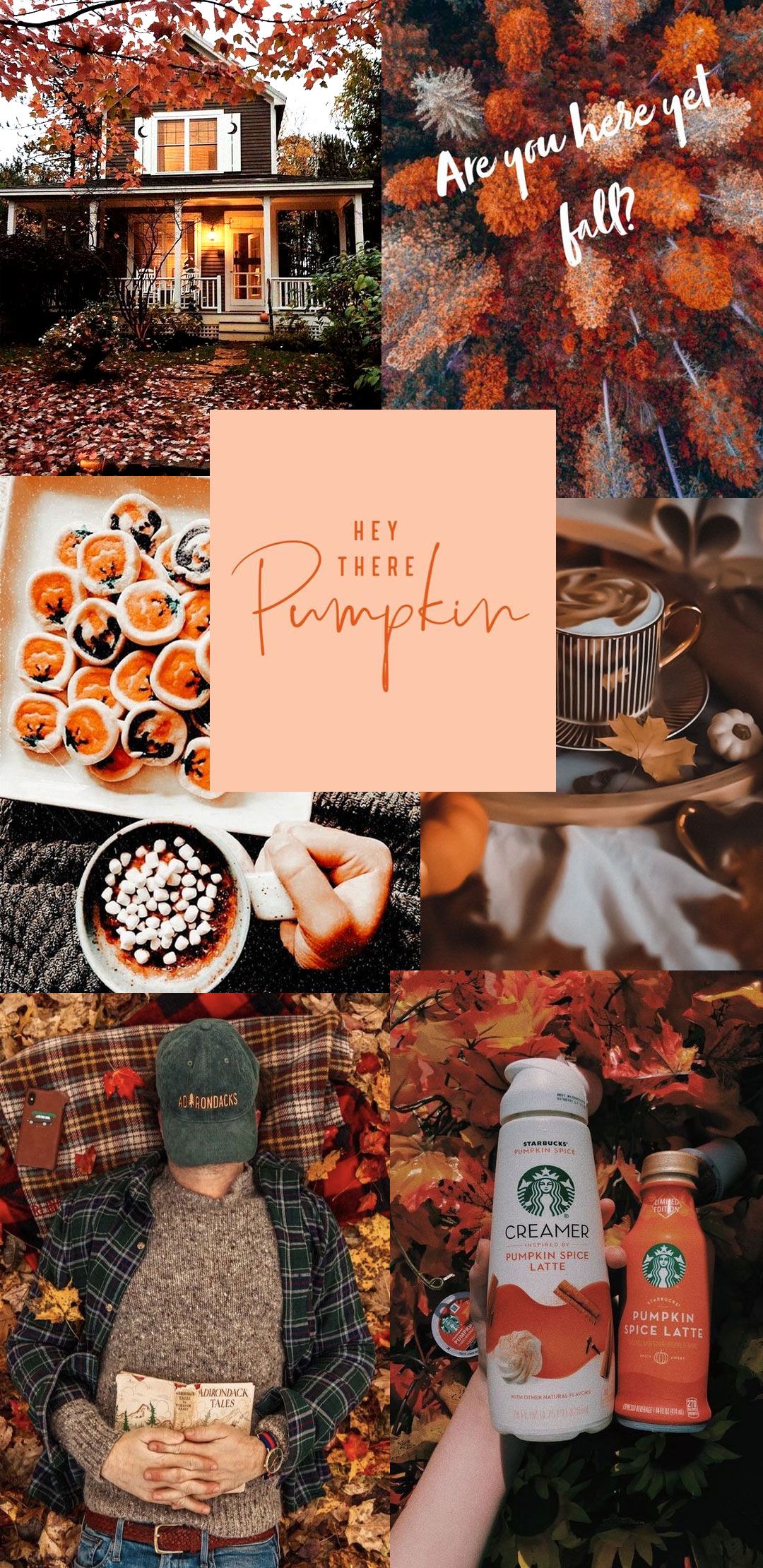 Autumn Collage Wallpaper : Hey There Pumpkin Wallpaper