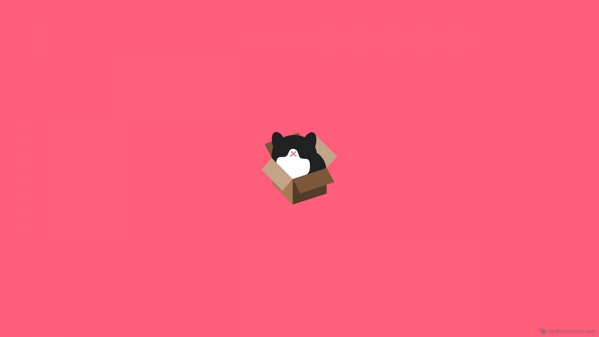 Minimalistic wallpaper of a cat in a box on a pink background - Cat