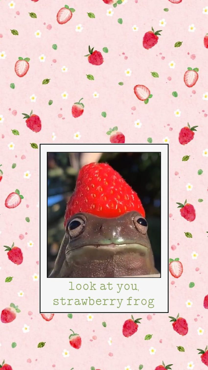 A phone wallpaper with a frog wearing a strawberry hat. - Frog