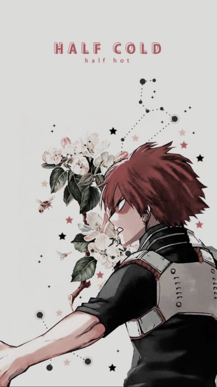 Todoroki Cute Wallpaper