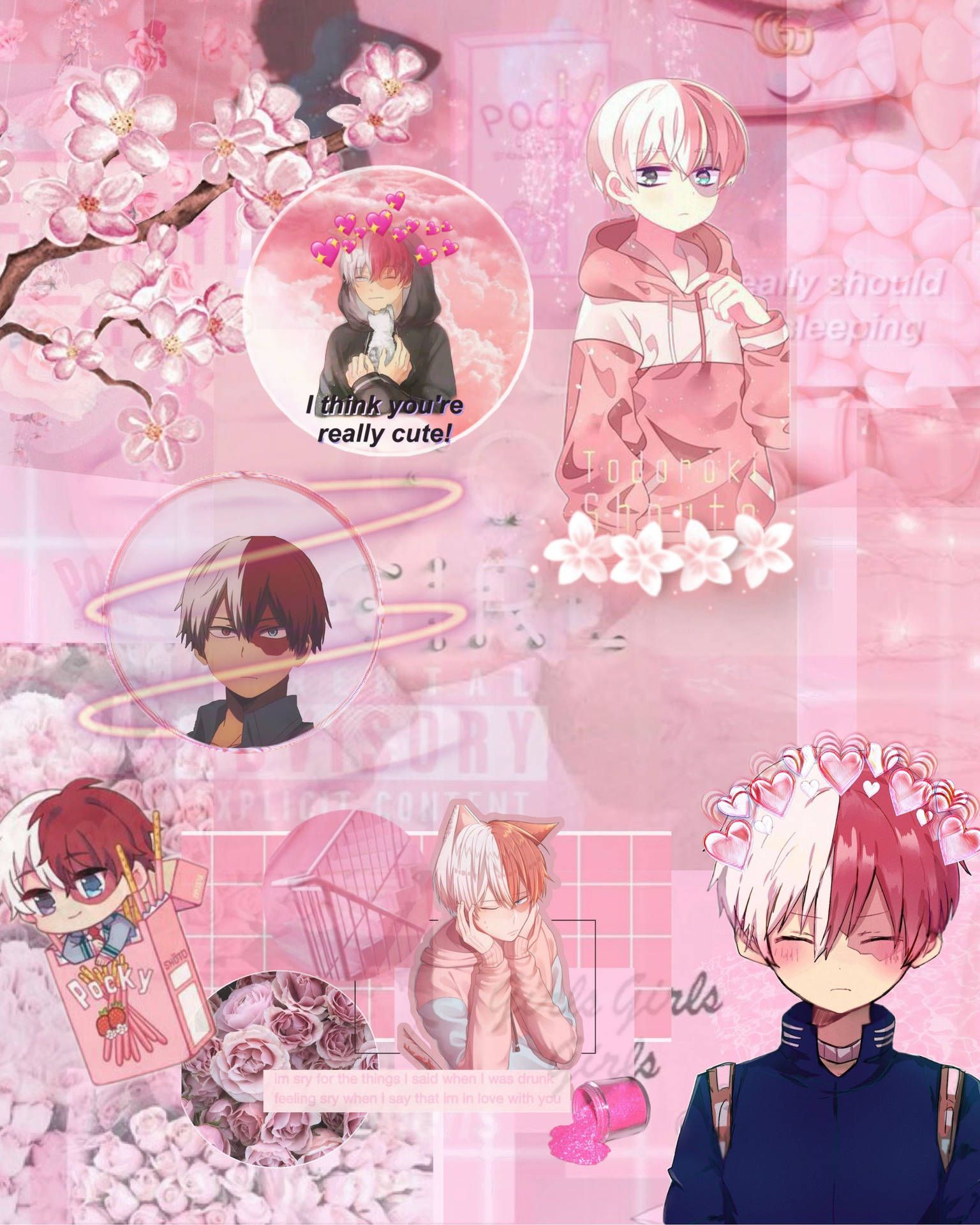 Aesthetic anime background with pink background and cherry blossoms - Shoto Todoroki