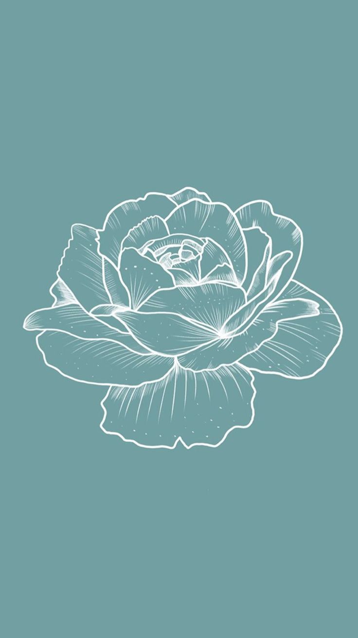 A beautiful rose illustration on a blue background - Beautiful, phone