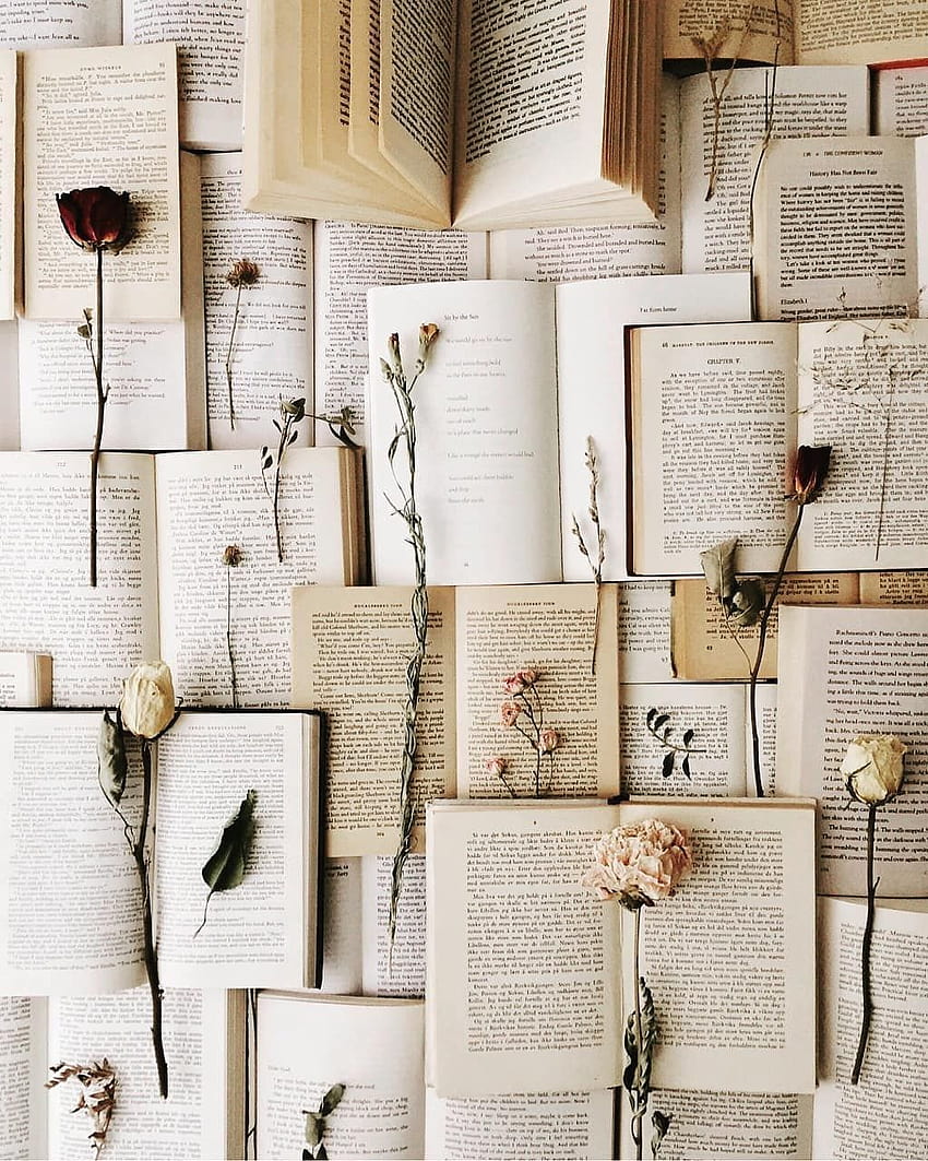 Flowers and books aesthetic HD wallpaper