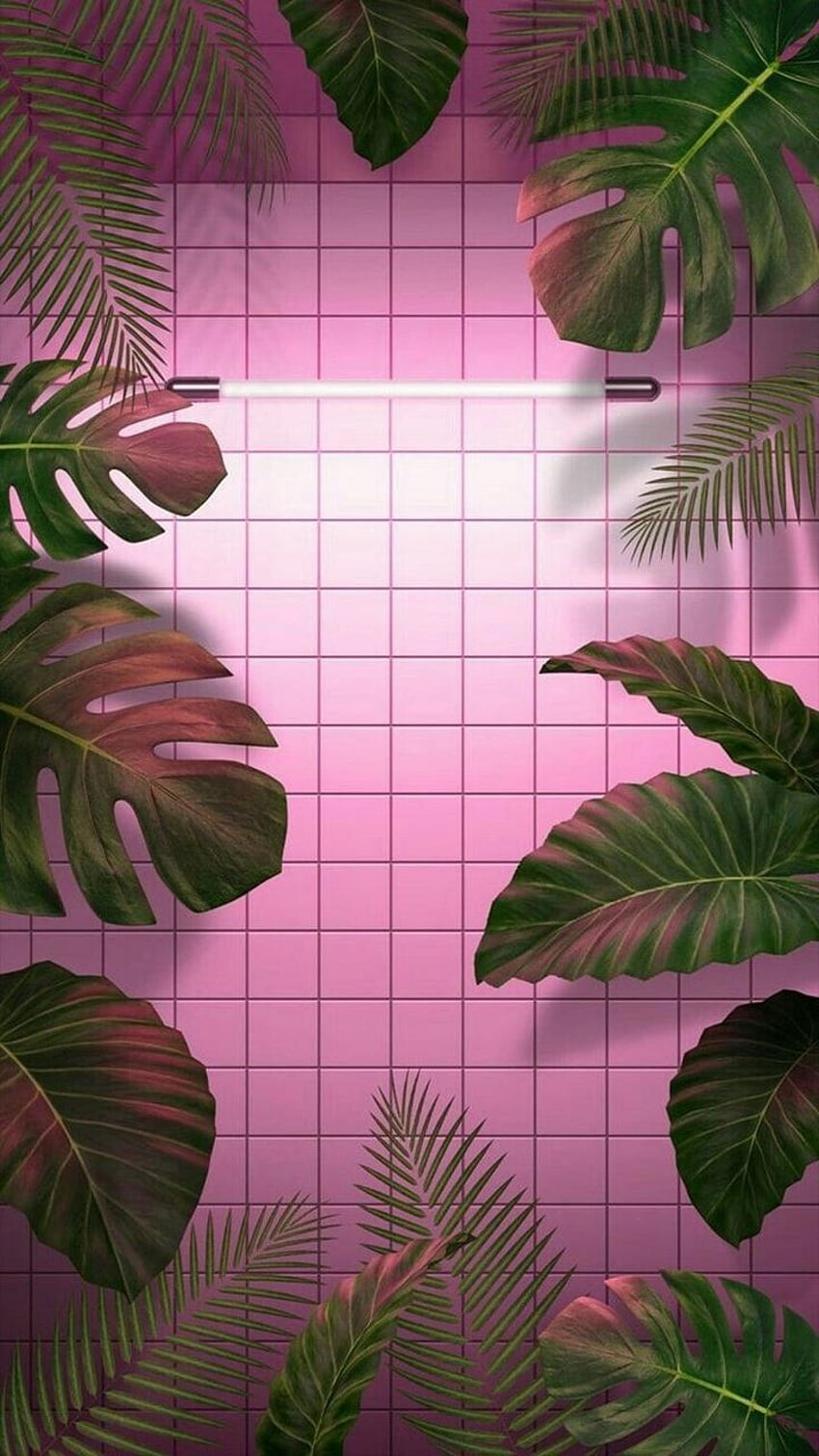 Aesthetic pink background with tropical leaves - Leaves, neon, tropical