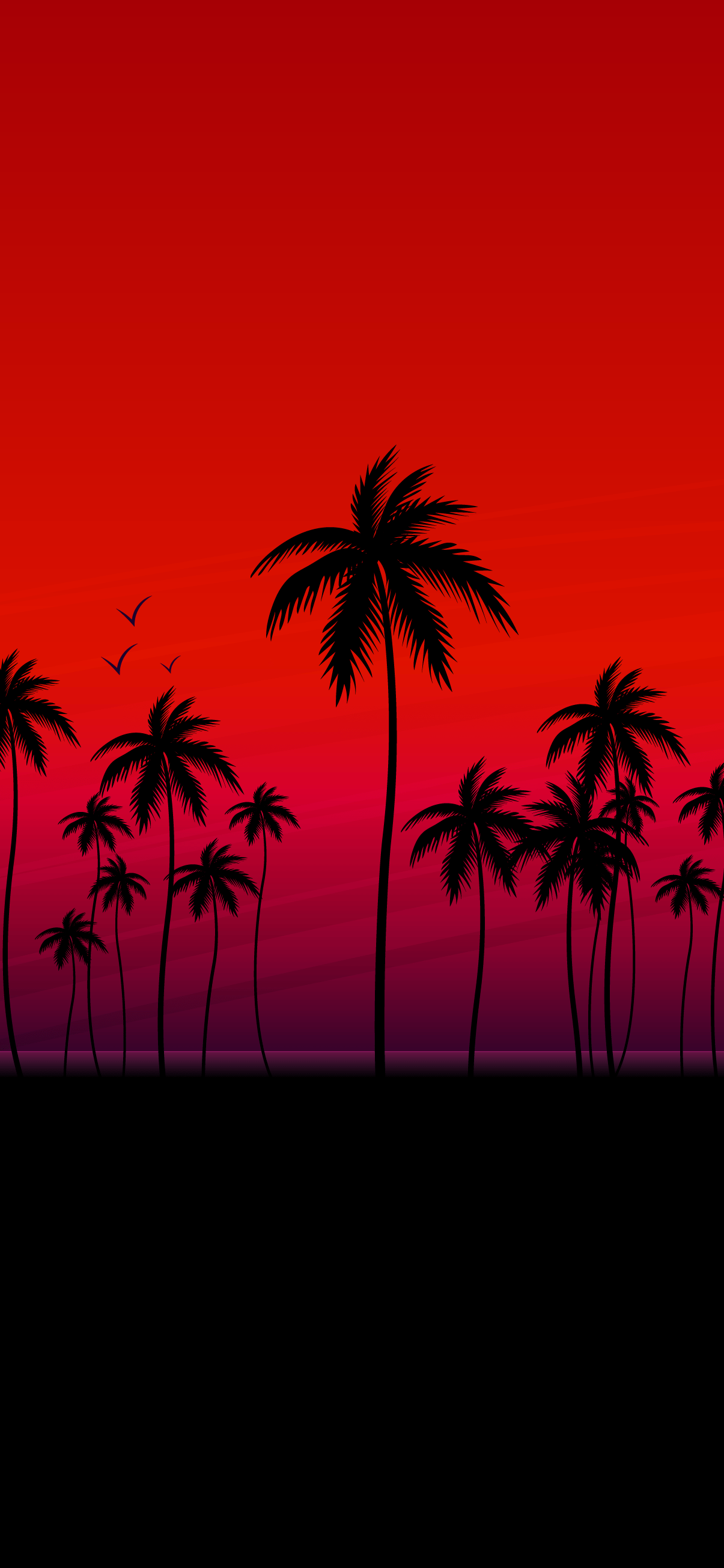 A sunset with palm trees and birds - Red, coconut, California, HD