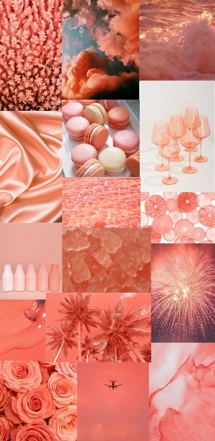 Aesthetic collage featuring pink and coral colored images such as macarons, a sunset, and rose petals. - Coral