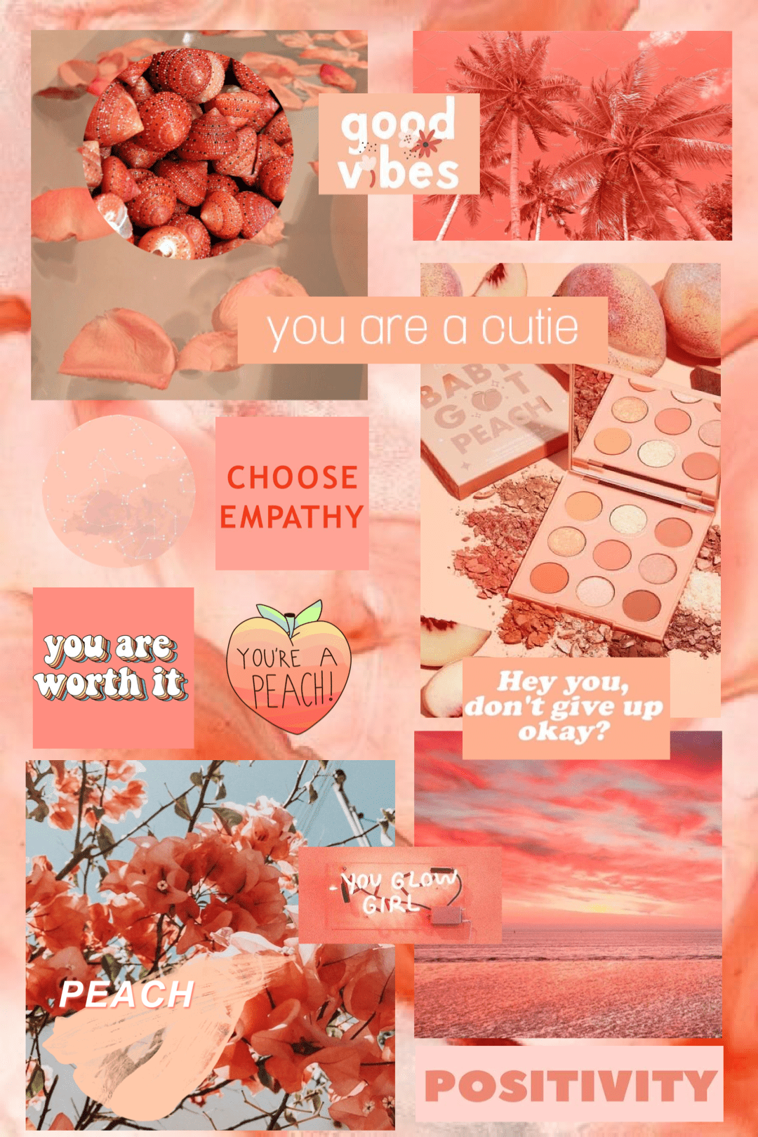A collage of images with orange and pink backgrounds - Coral