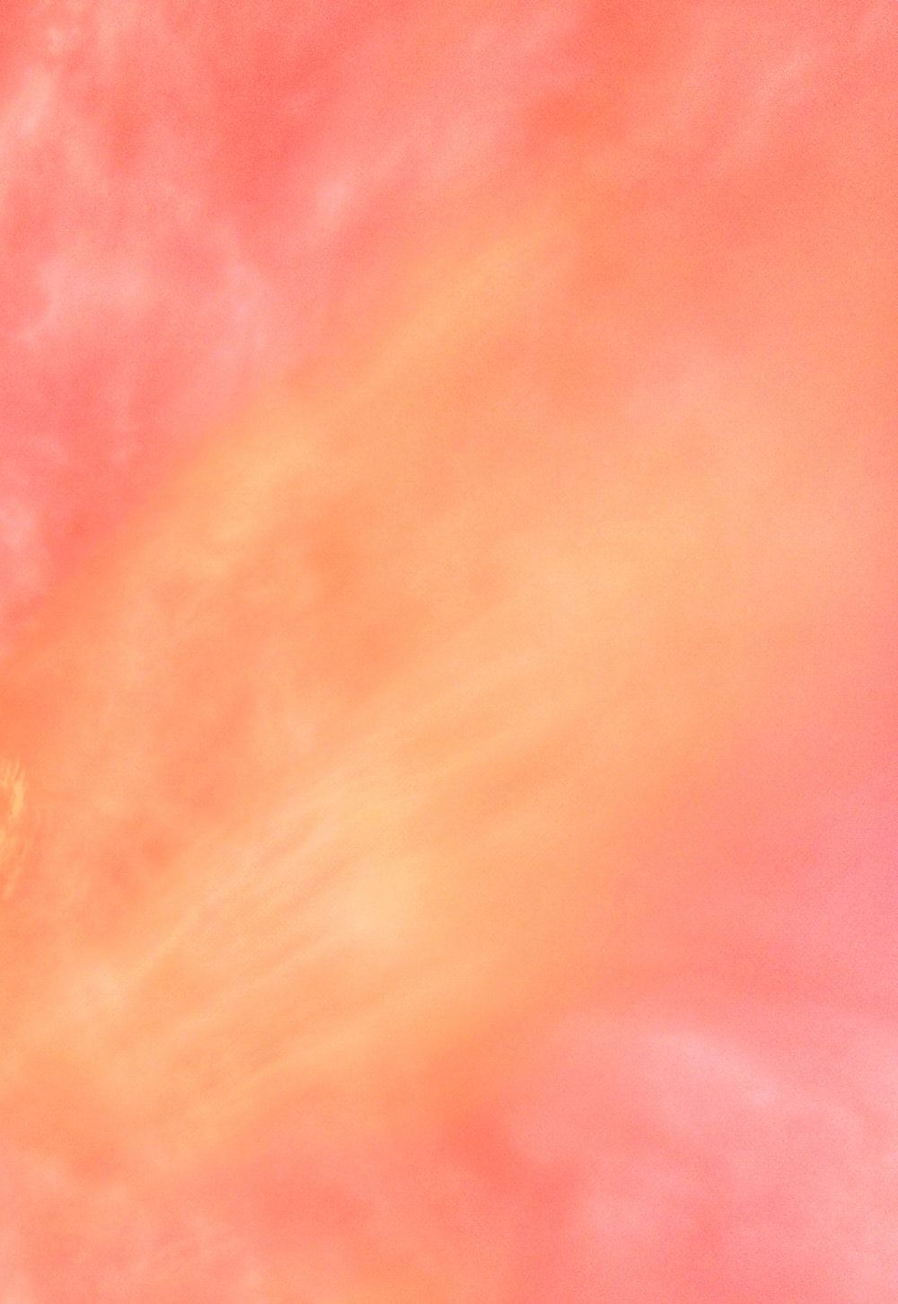 A photo of a pink and orange sky - Coral