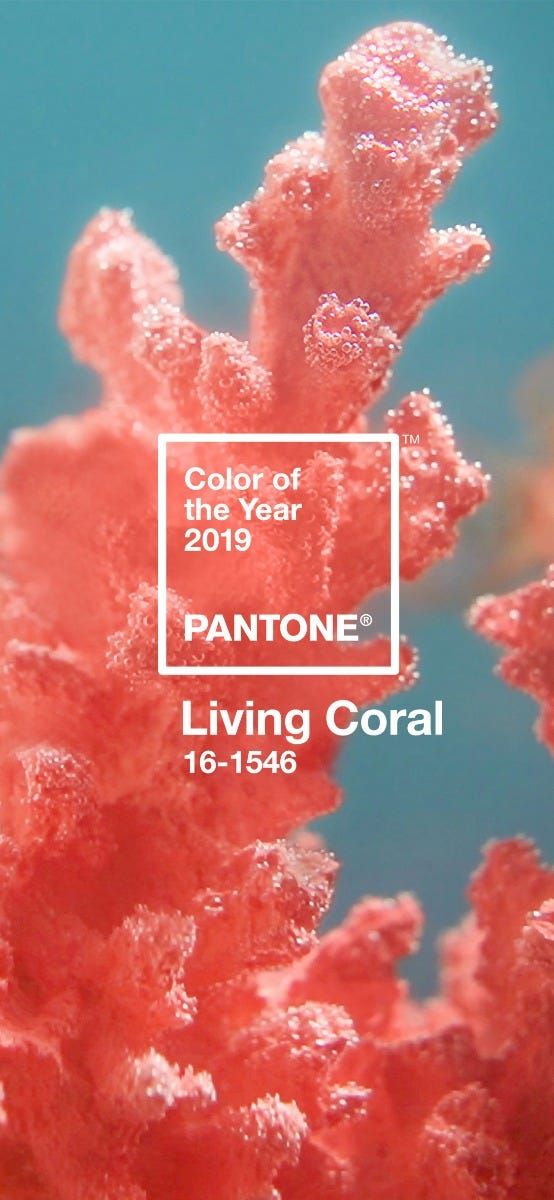 A pink coral is shown on the cover of color living - Coral