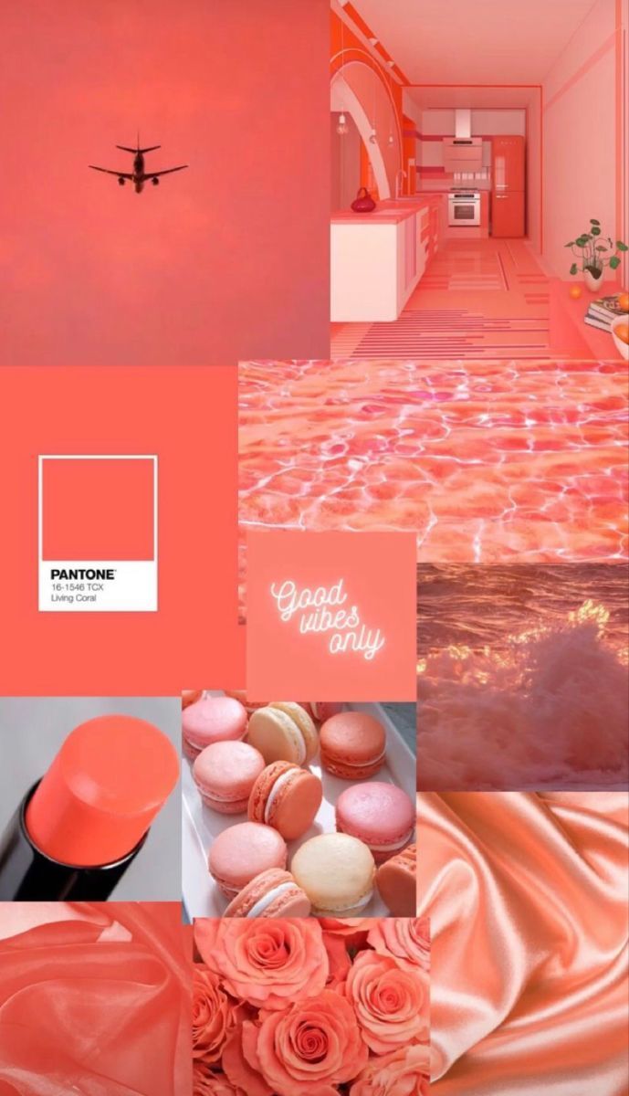 A collage of images featuring the color coral. - Coral