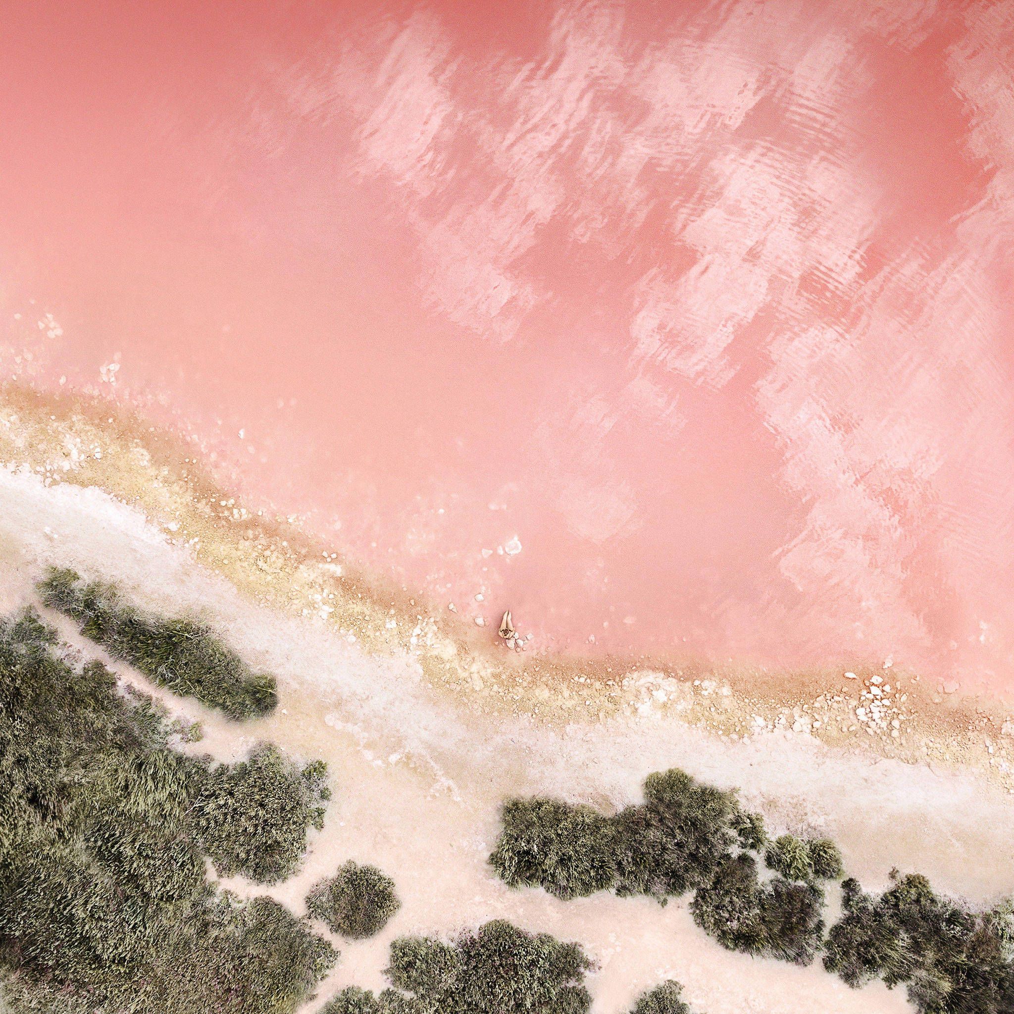 A pink beach with trees and water - Coral