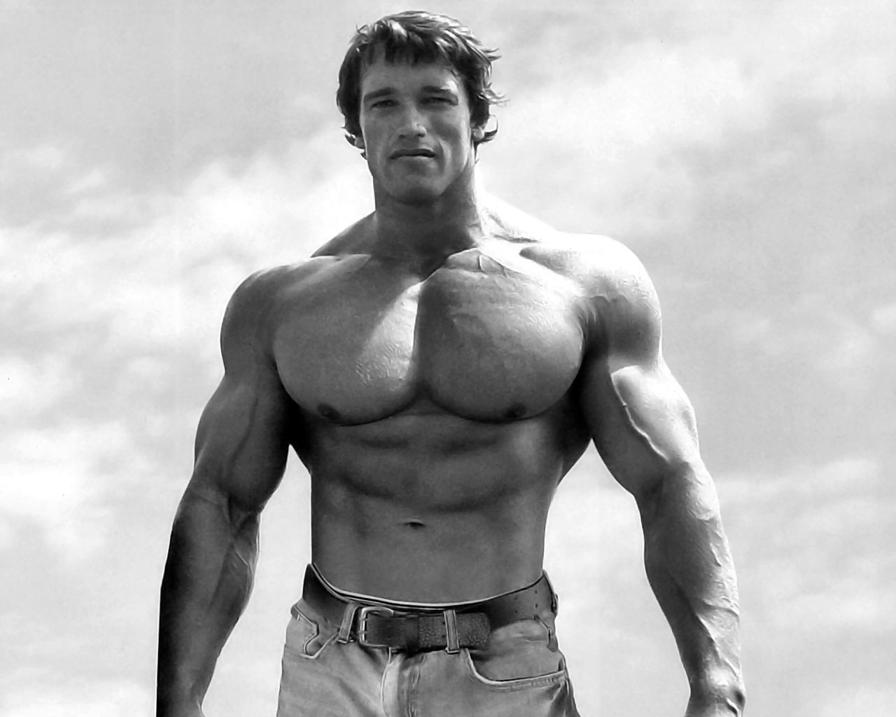 Wallpaper Bodybuilder, Gyms, Muscular, Arnold Schwarzenegger