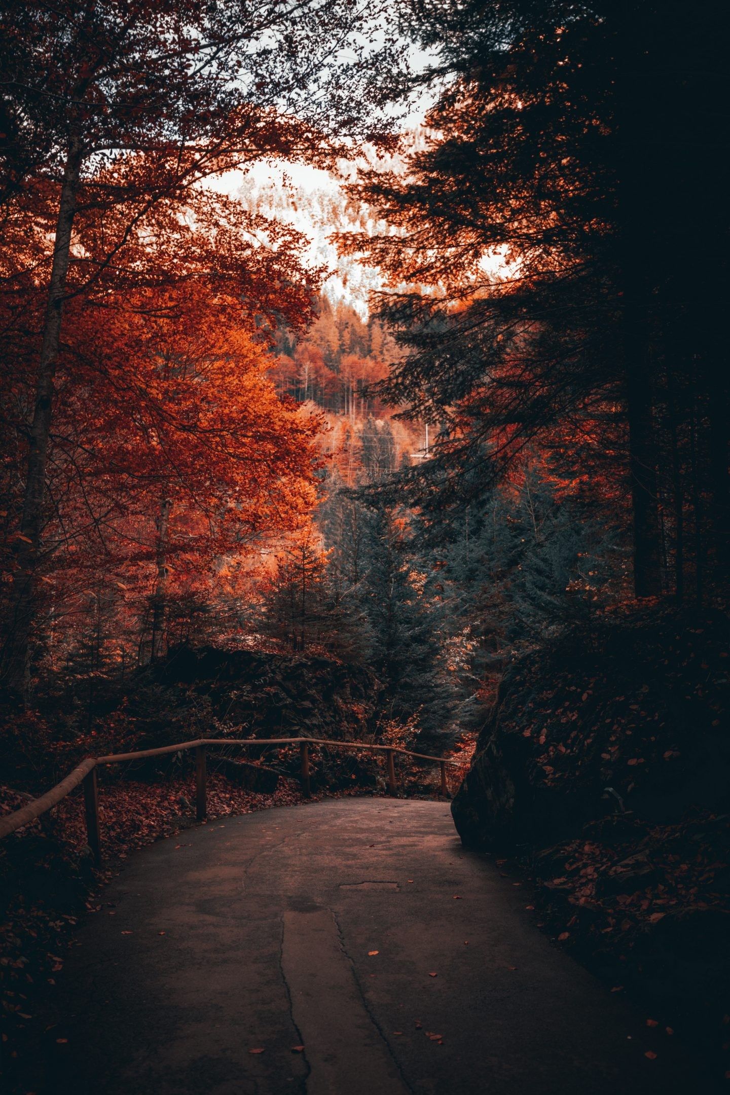 Free Amazing Fall Wallpaper For iPhone