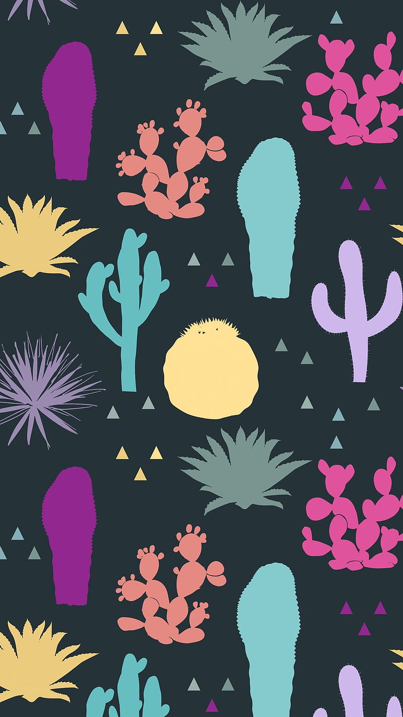 Summer Cactus, aesthetic botanical nature, cactus green, desert flowers, floral garden, HD phone wallpaper