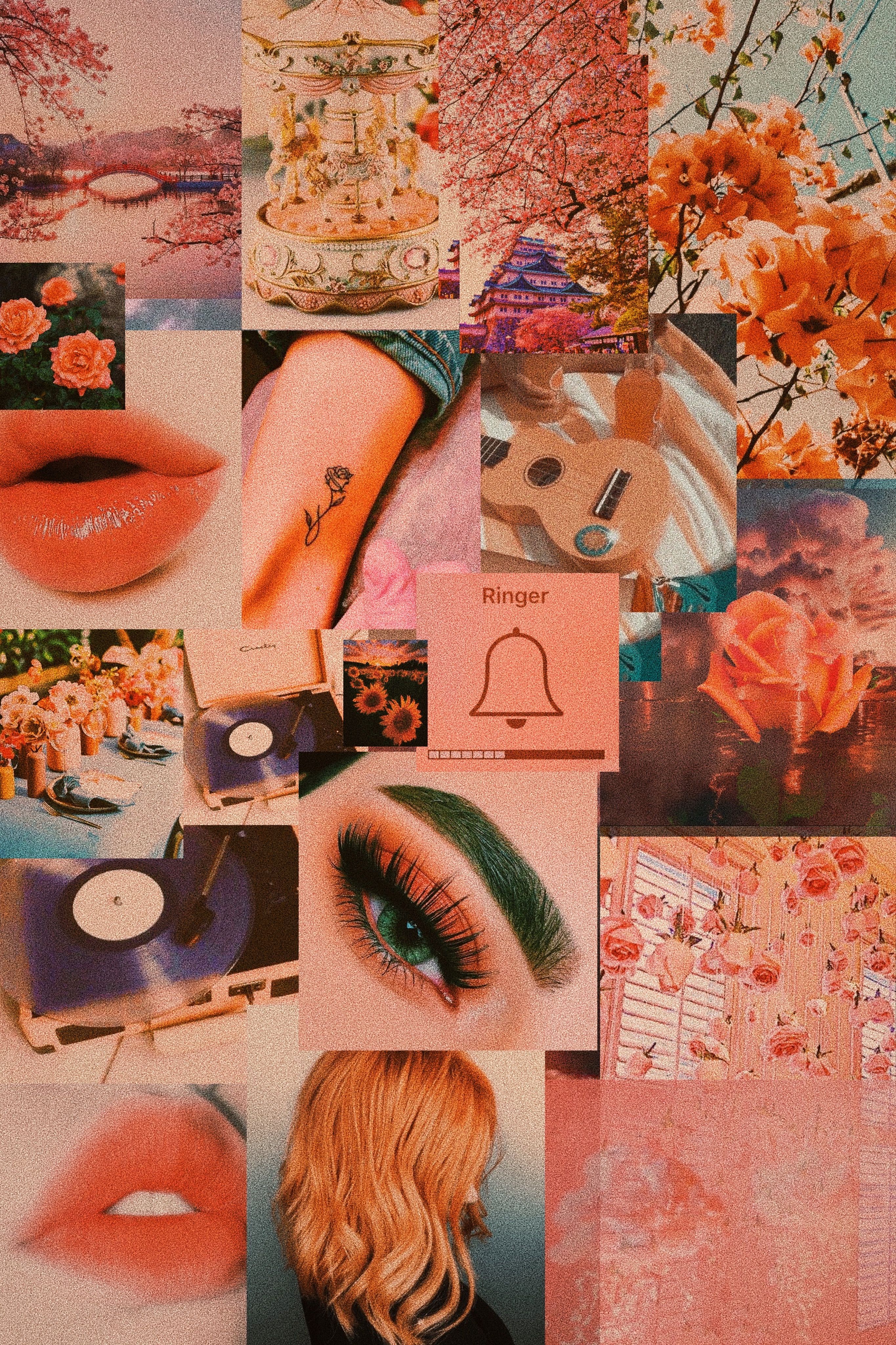 A collage of pictures with flowers and other items - Coral