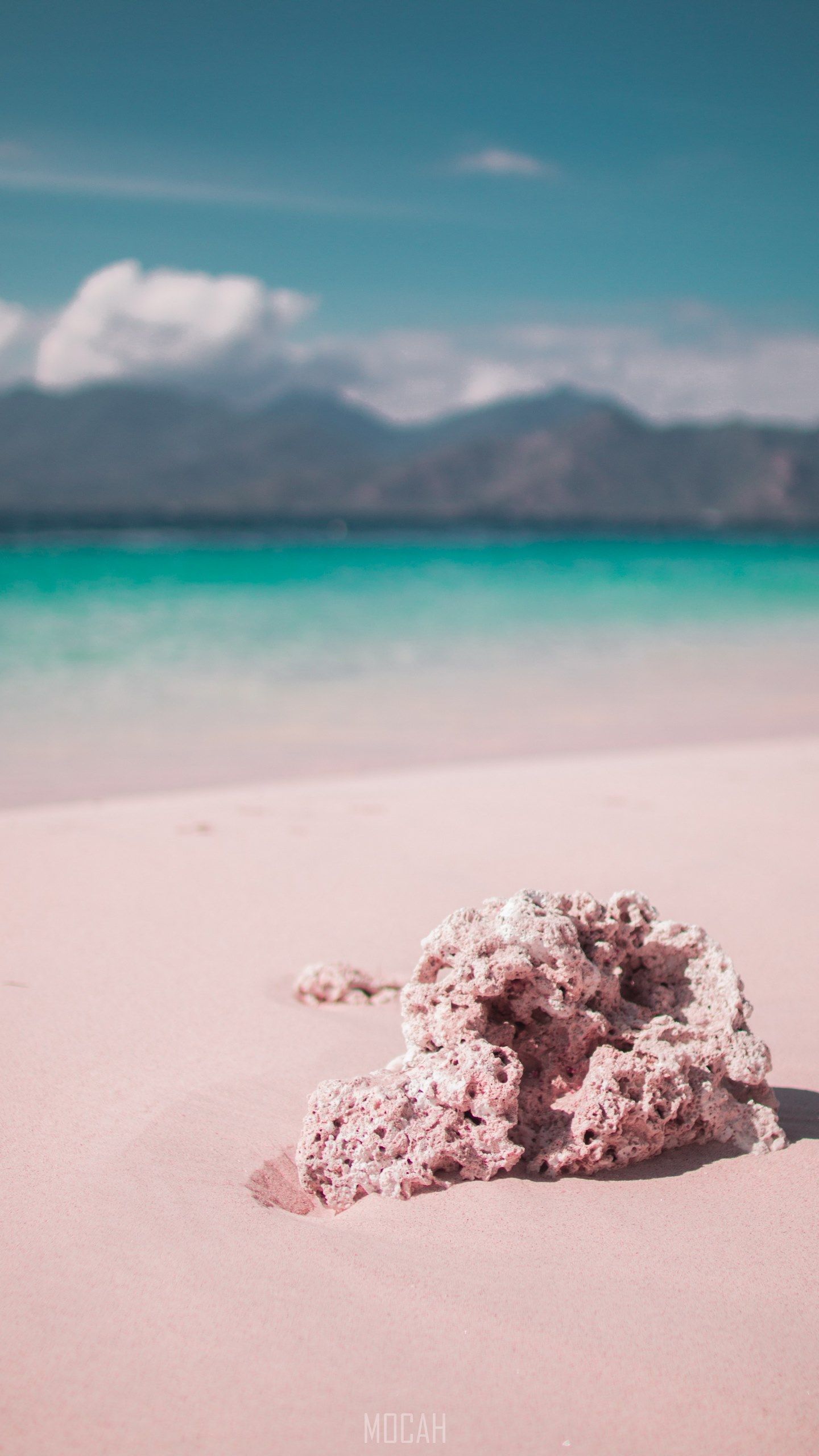 A rock on the beach in front of mountains - Coral
