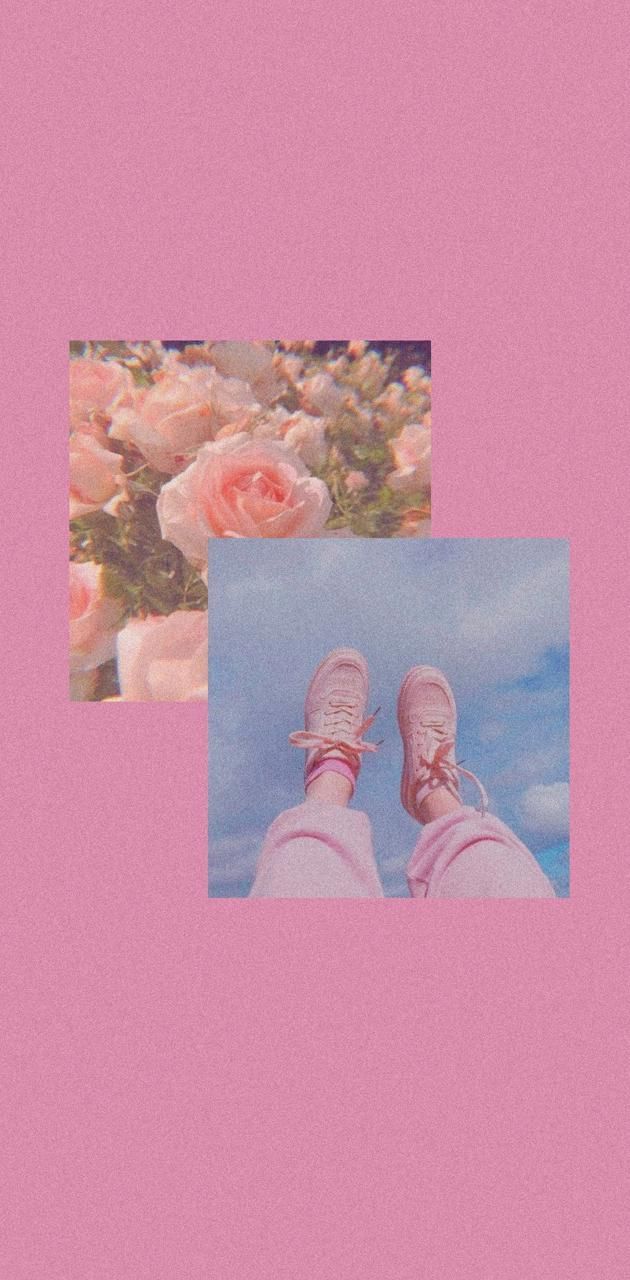 A picture of some pink flowers and shoes - Coral