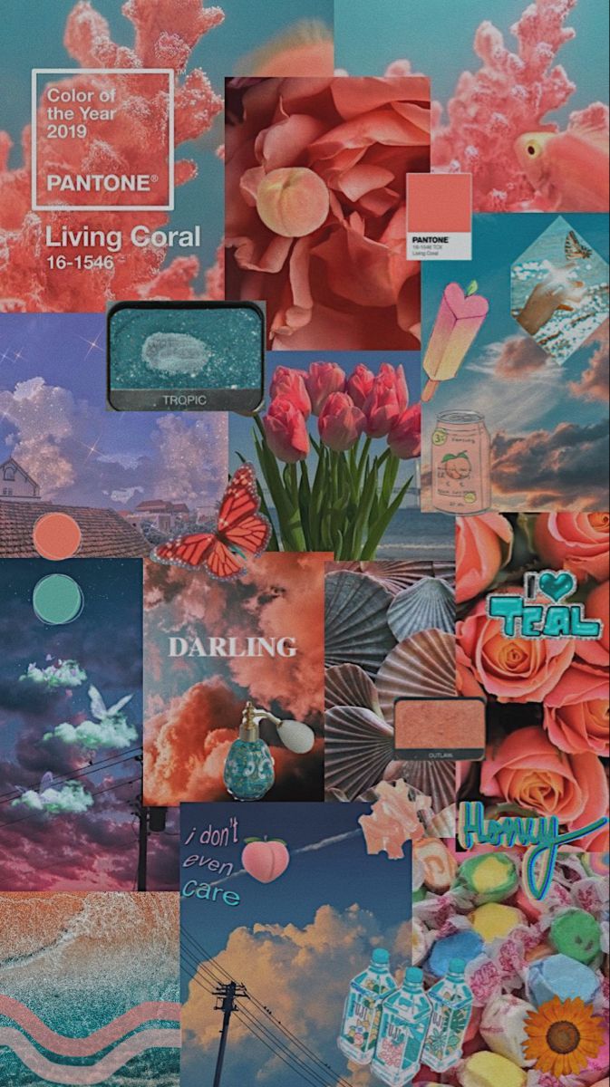 Aesthetic background of pink and blue flowers, clouds, and butterflies. - Coral