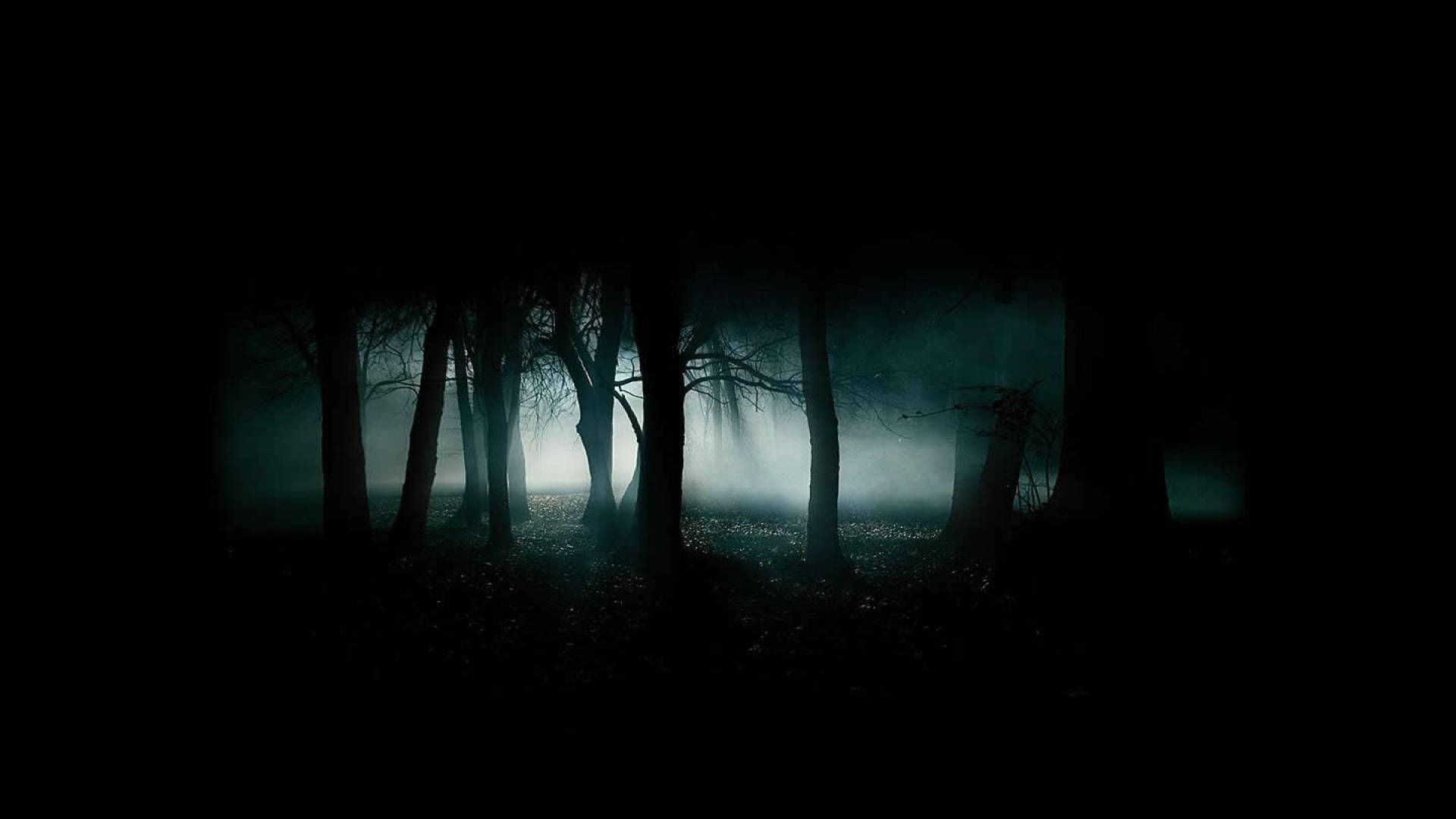 A dark forest with fog and trees - Creepy