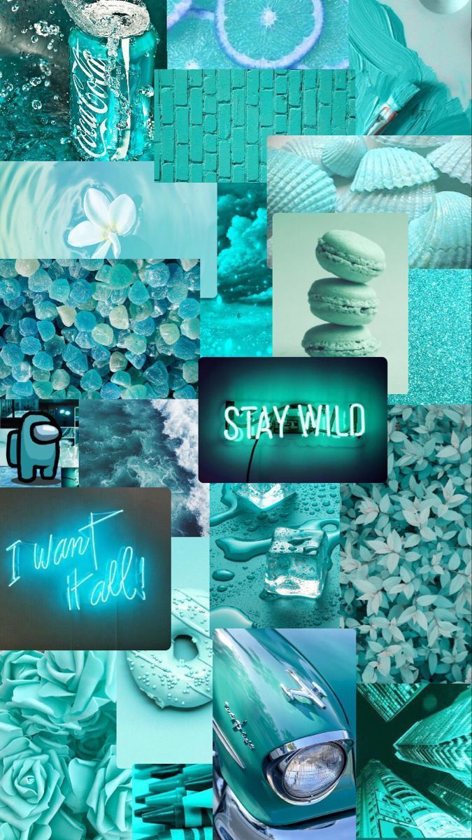 A collage of different items with the words stay wild - Cyan