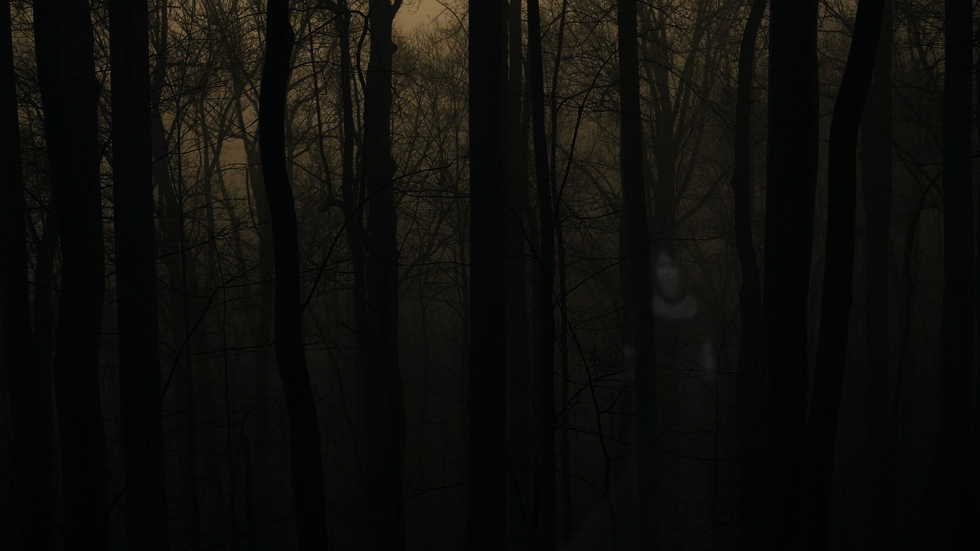 The forest at night, with a figure standing in the distance. - Creepy