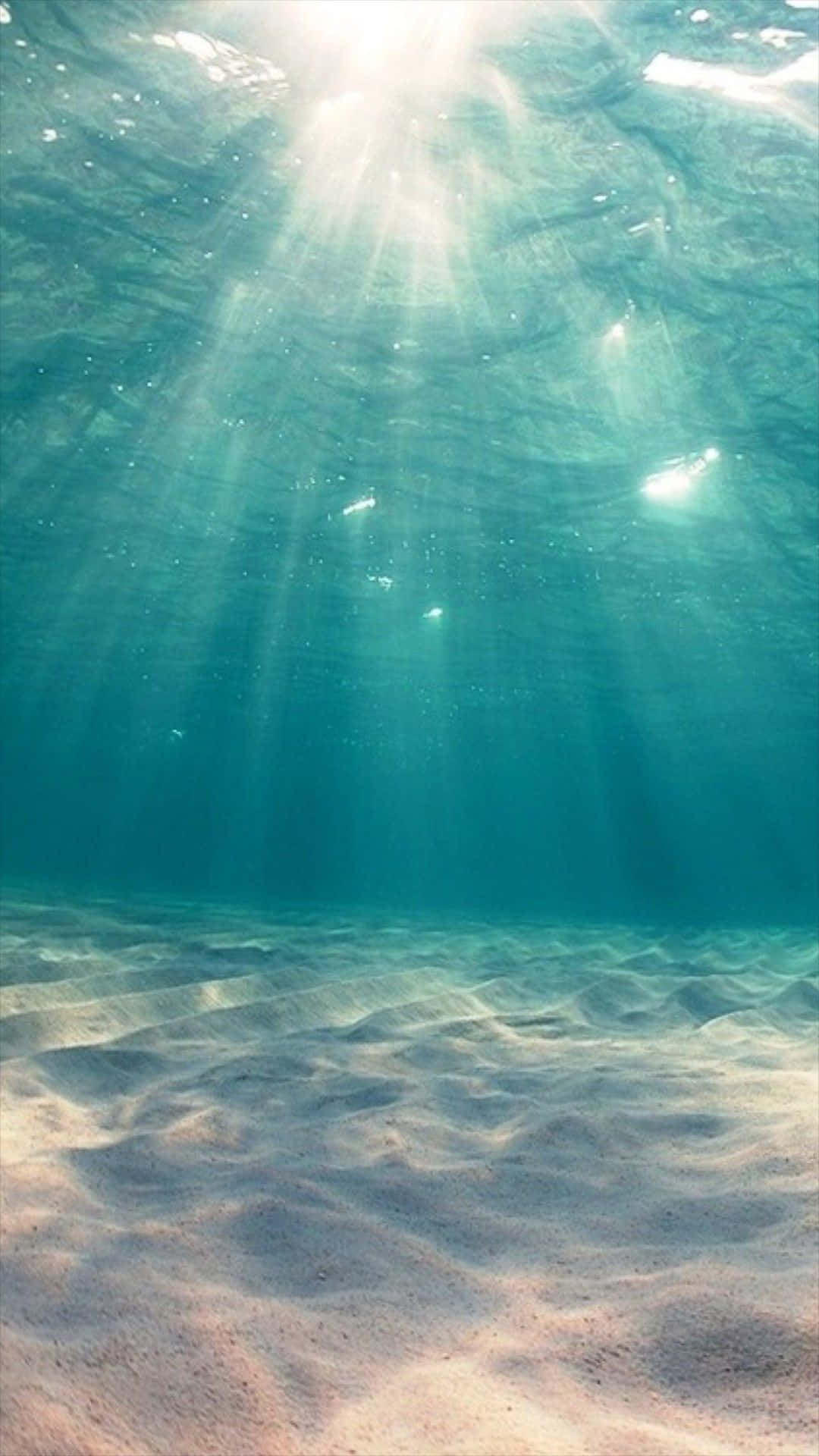 Underwater view of the ocean floor with sun rays shining through the water - Cyan, sunlight, ocean, sunshine, mermaid, underwater, sun