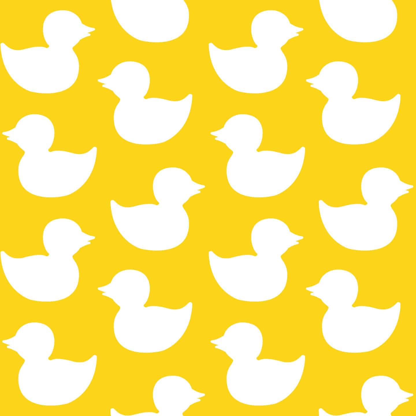 Yellow Aesthetic Duck Wallpaper And Stick Or Non Pasted