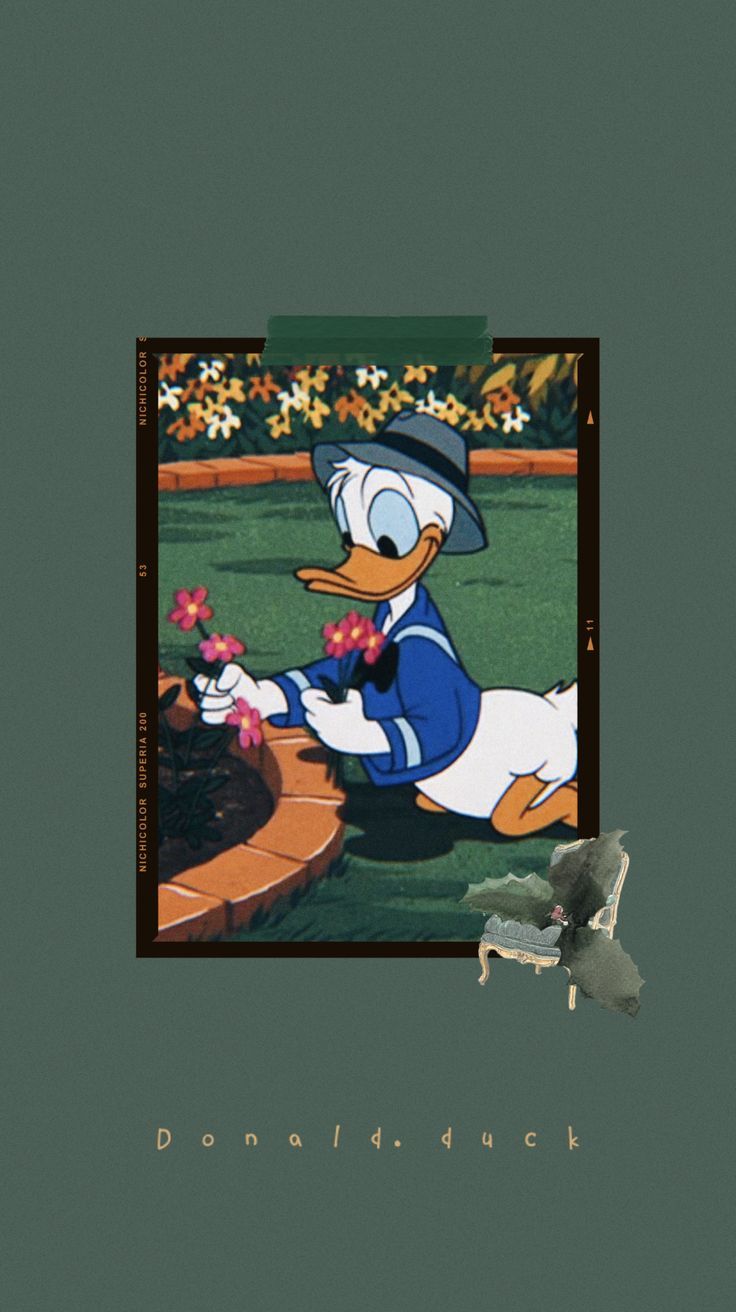 Donald duck // wallpaper aesthetic ✨
