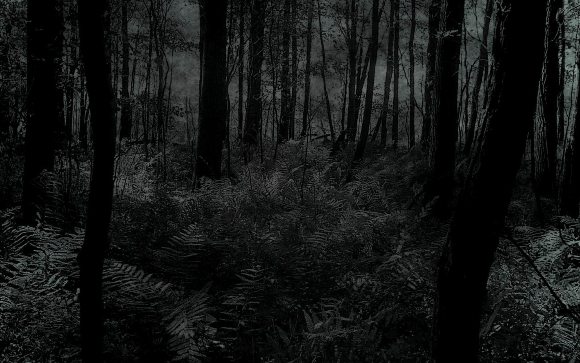 A black and white photo of the woods - Creepy, horror