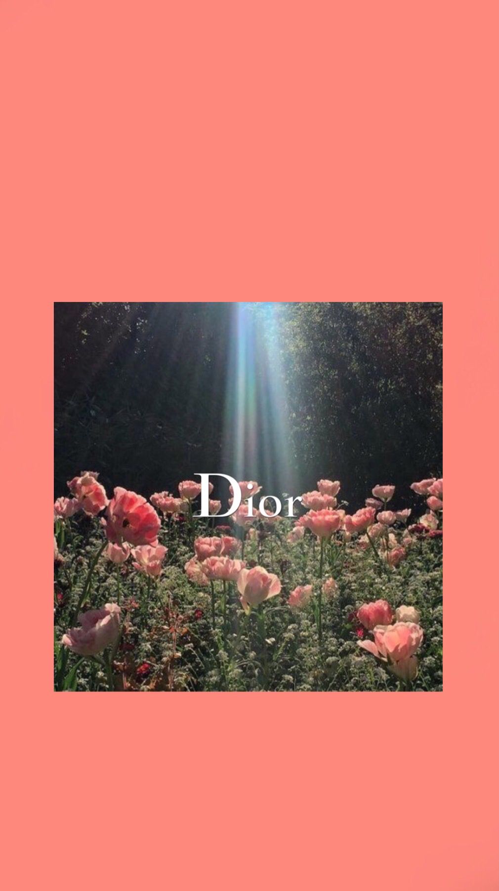 Dior wallpaper I made! Credit to the artist - Dior