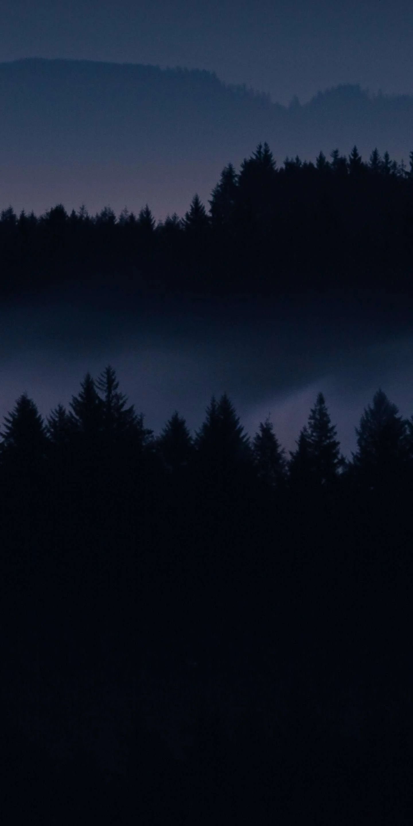 A dark sky with fog and trees - Creepy