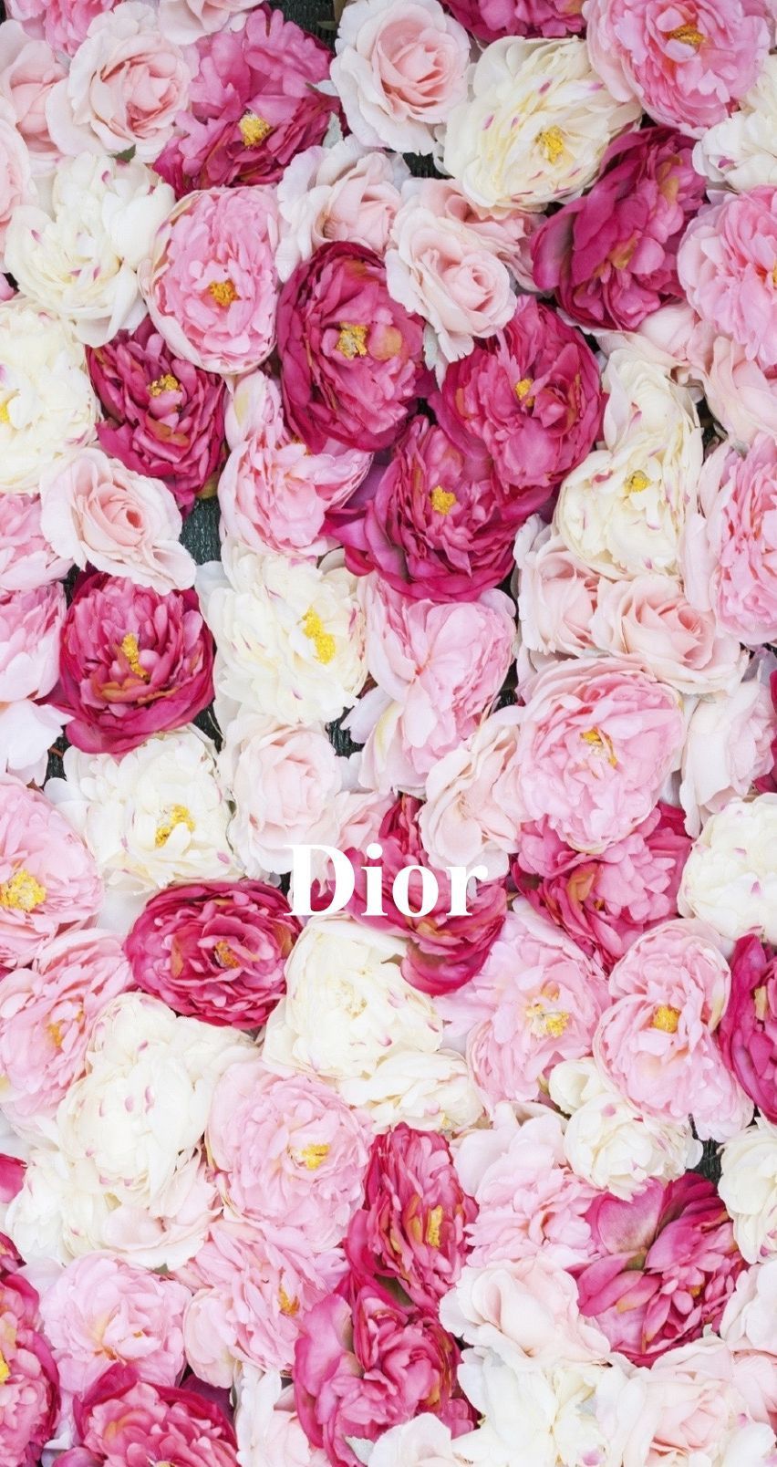 A close up of flowers with the word dior on them - Dior