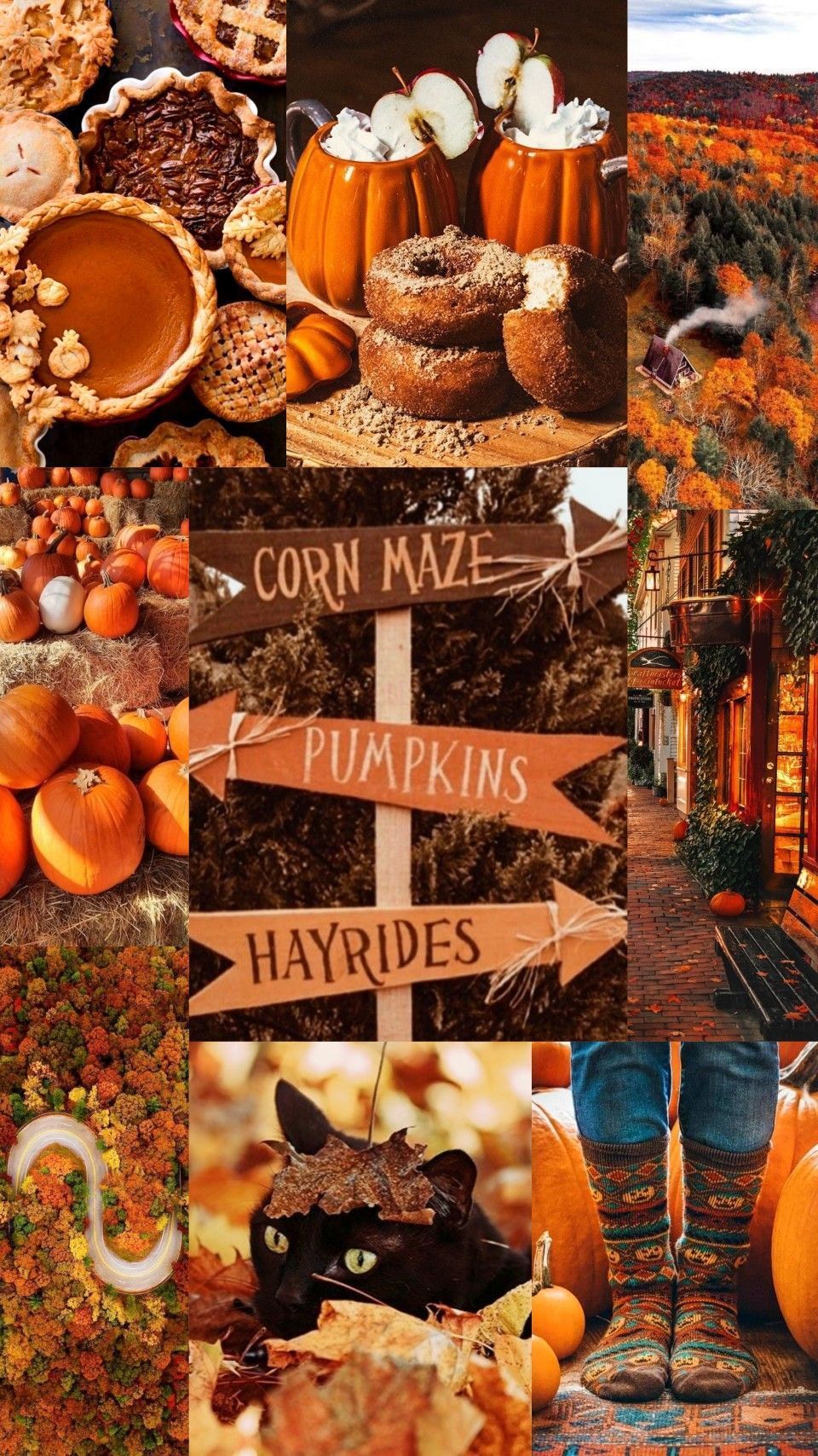 A collage of pictures with pumpkins and other food items - Fall, pumpkin, orange, fall iPhone, cute fall, collage, Thanksgiving