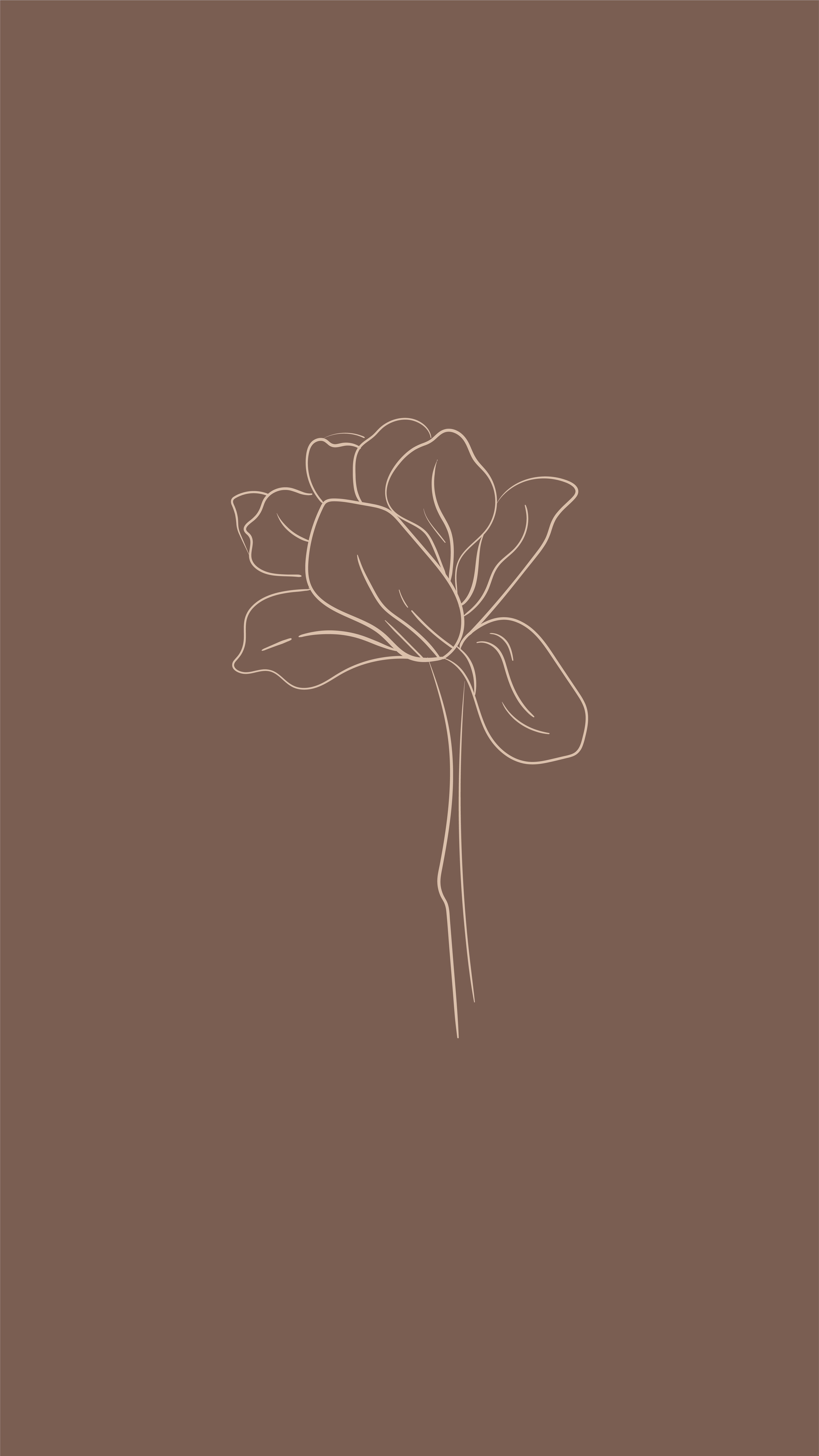A single line drawing of an open flower on brown background - Brown, light brown, hand drawn