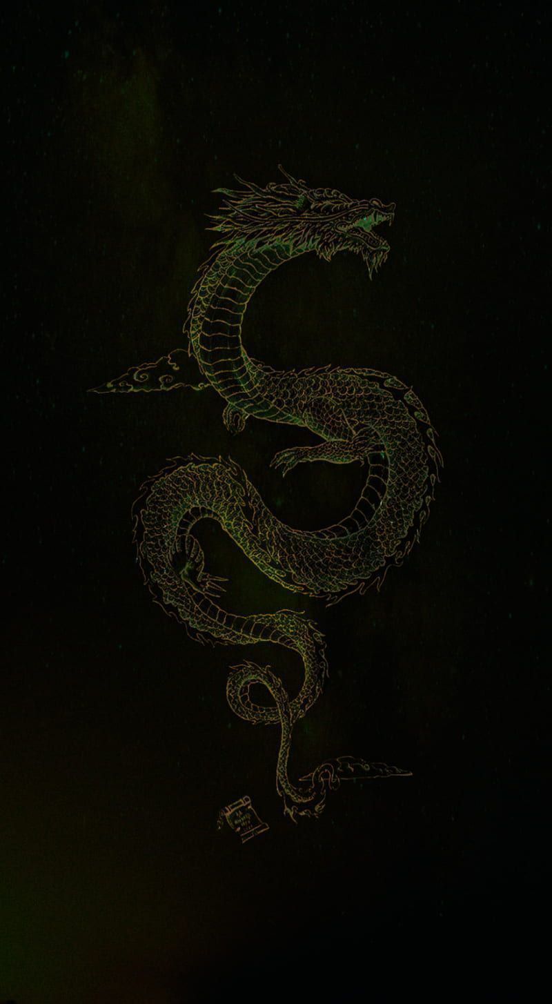 A green dragon outline on a black background - Dragon, snake