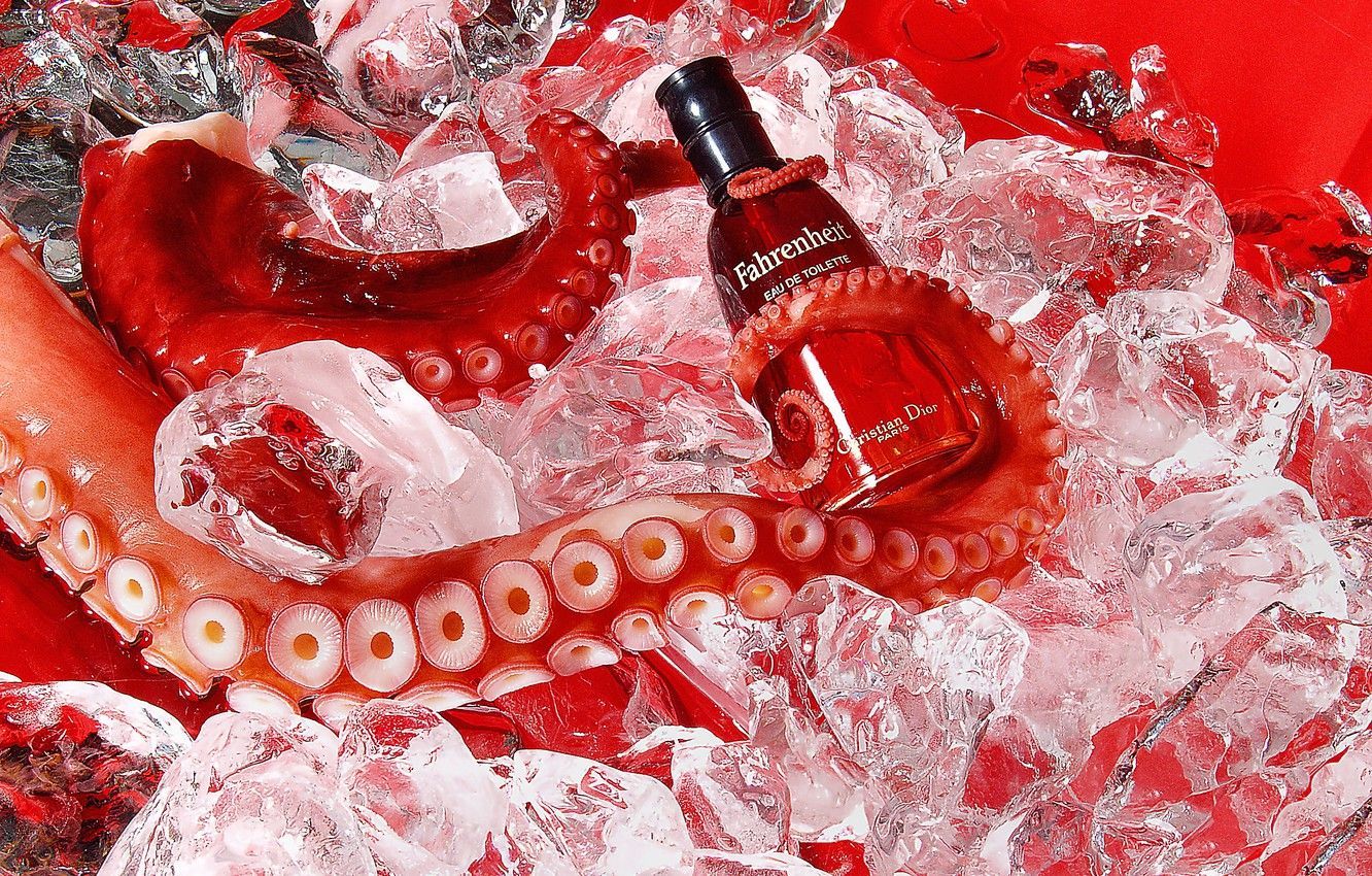 A bottle of Falckenberg Liqueur sits on ice with a squid. - Dior
