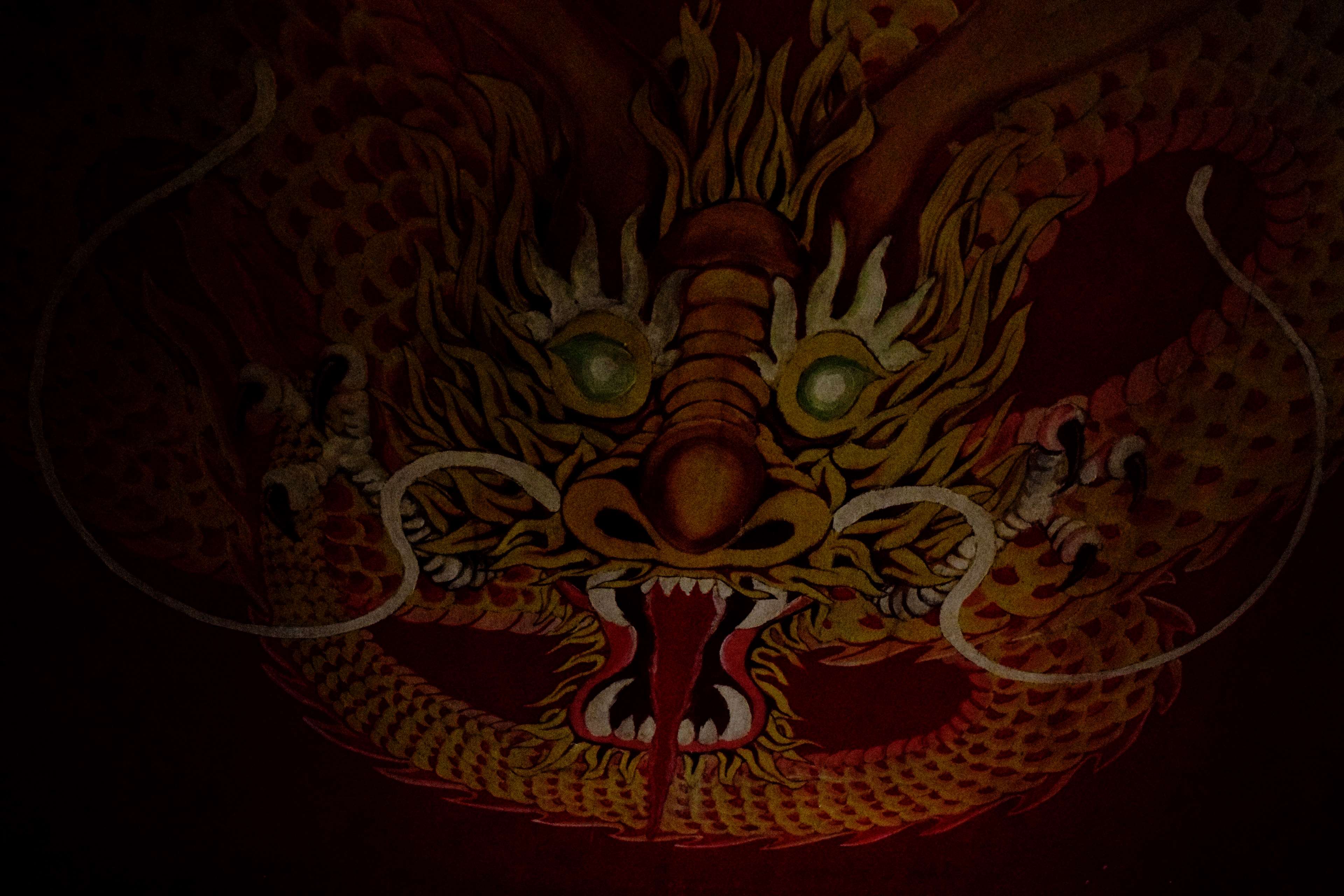 A close up of an oriental dragon - Dragon